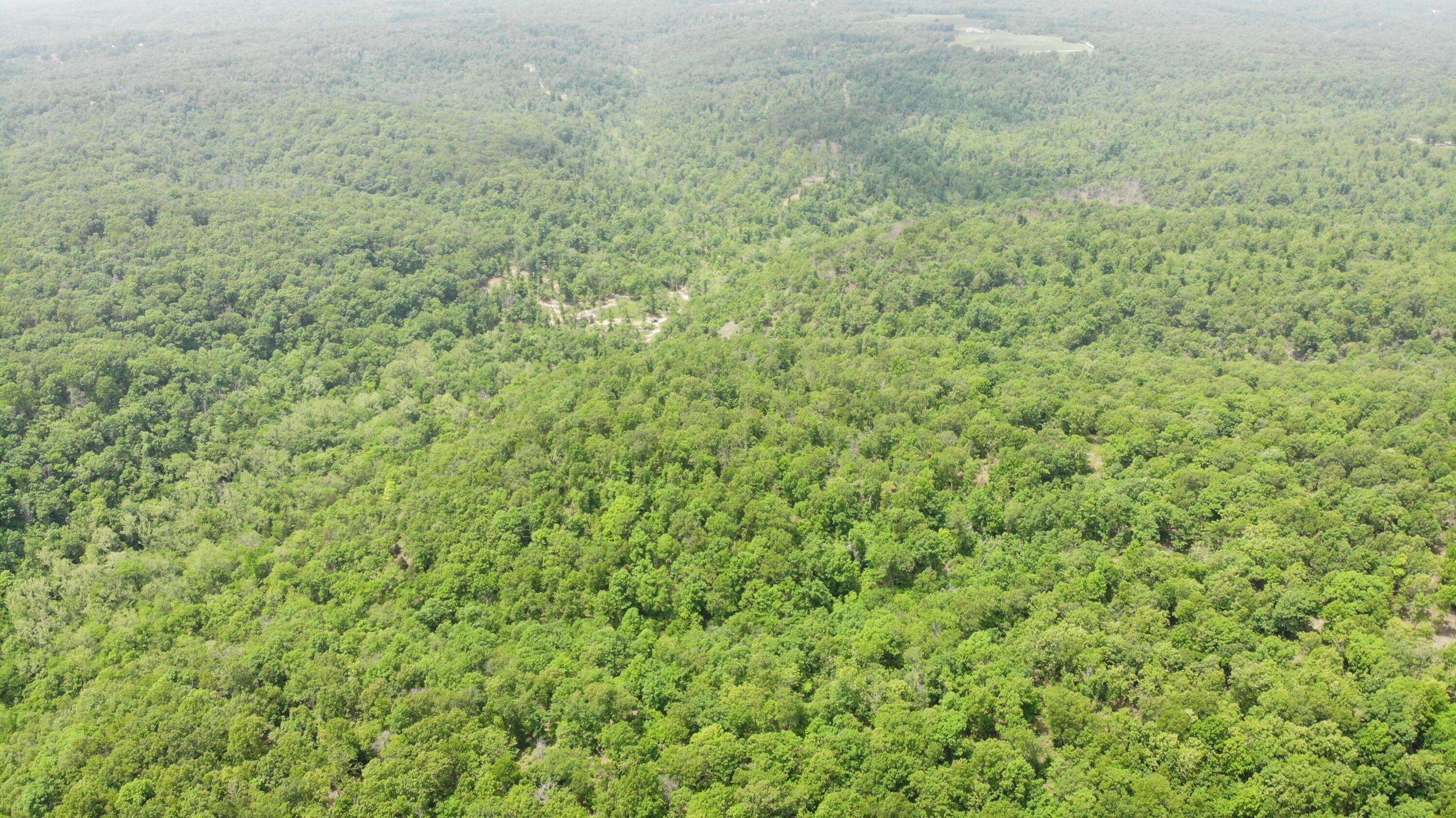 000 64 Hwy #Lot 19, Lebanon, MO 65536