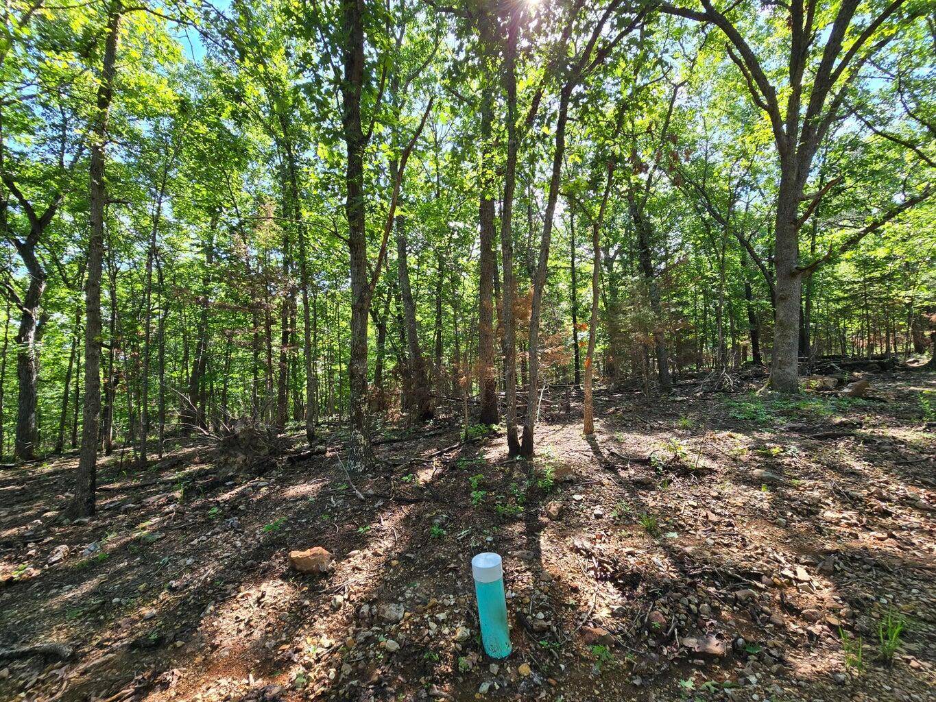 11111 Tall Oaks, Pittsburg, MO 65724