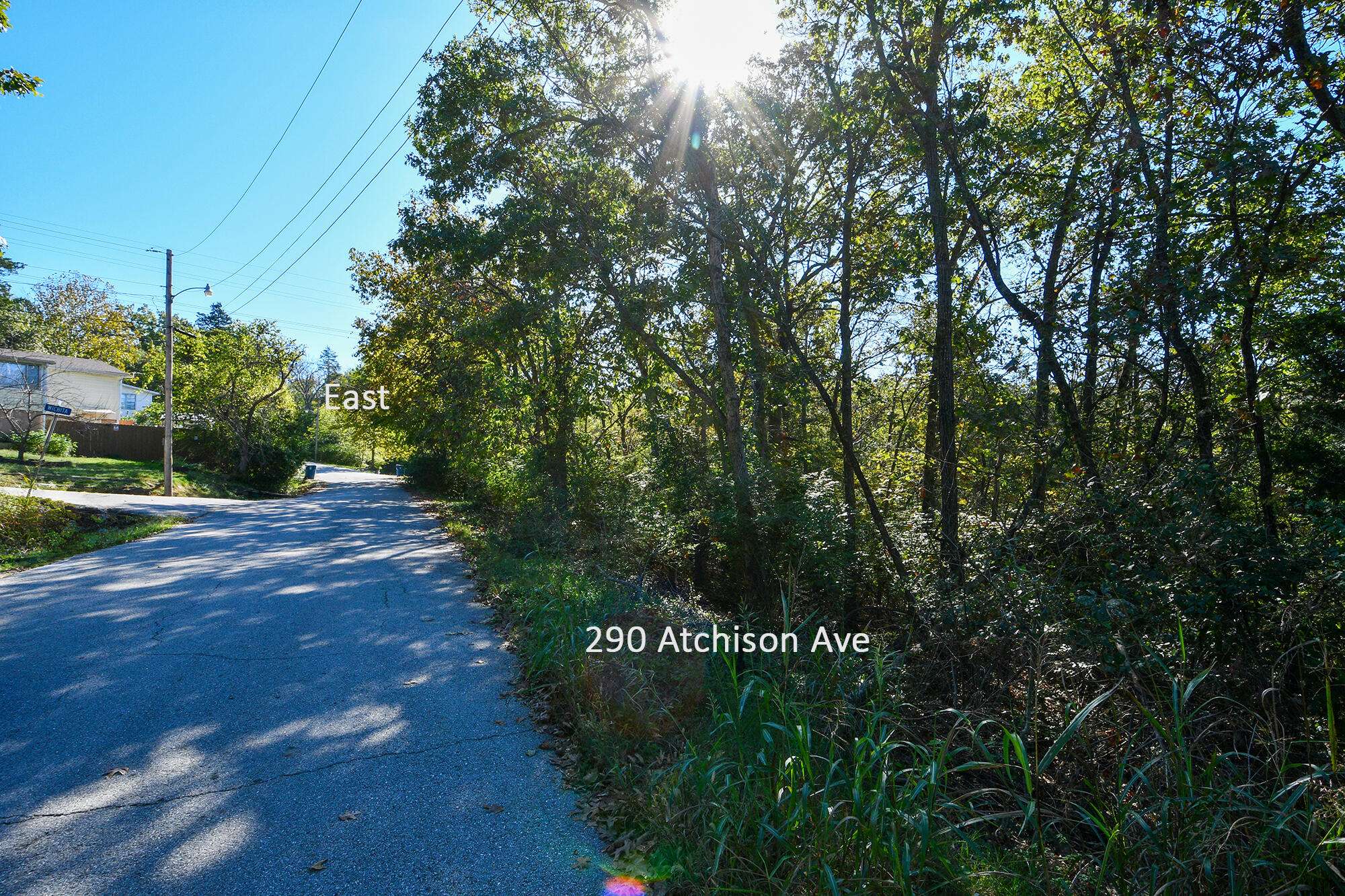 290 Atchison AVE, Forsyth, MO 65653