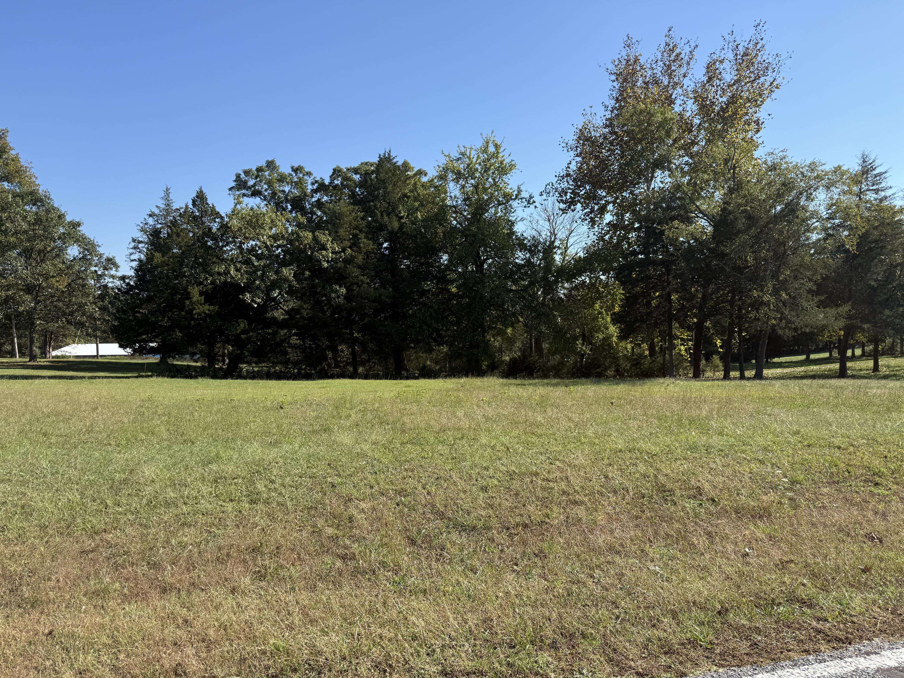 Tbd Fairway Dr, Shell Knob, MO 65747