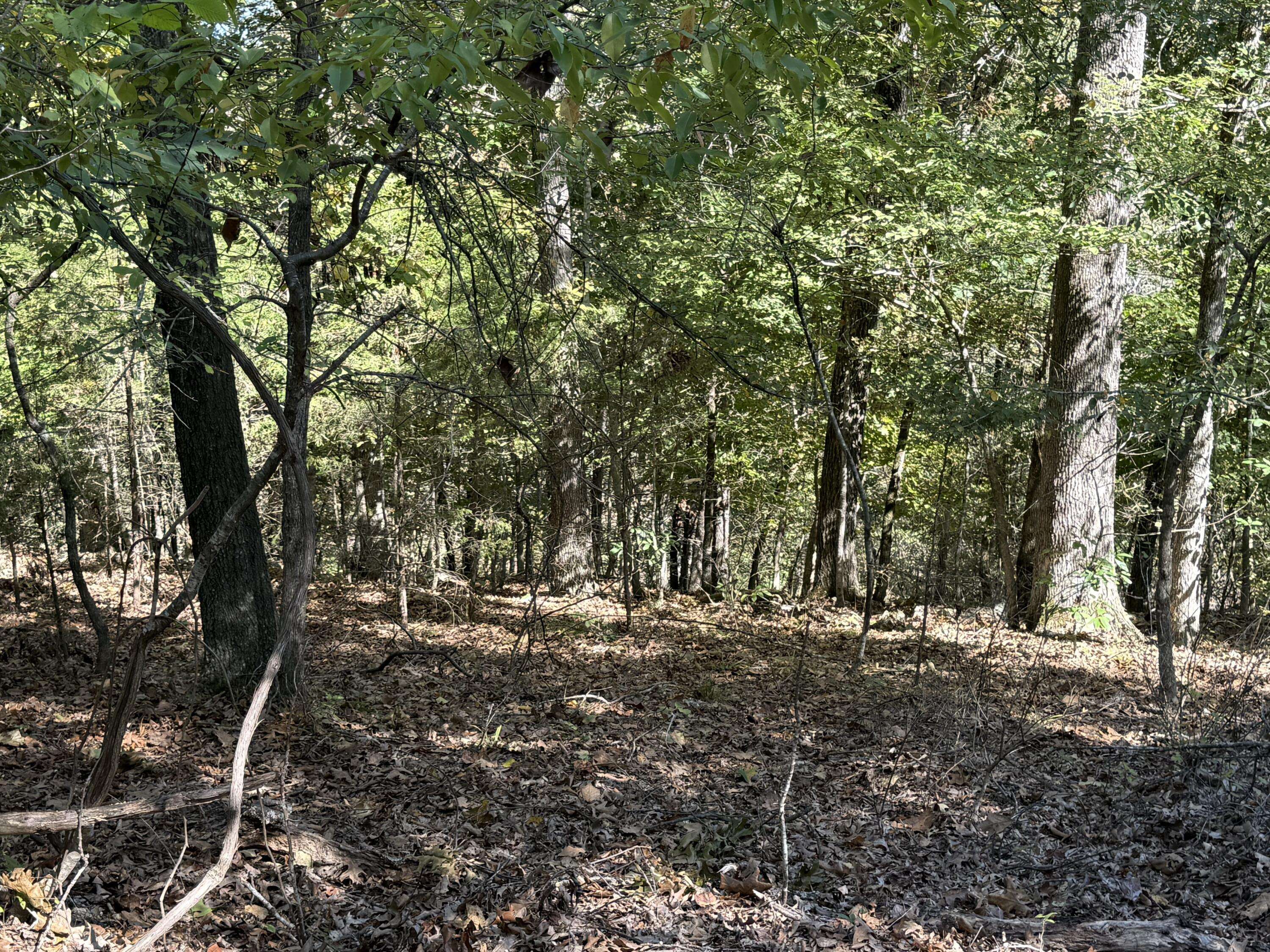 000 Farm Road 1263, Golden, MO 65658