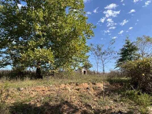 000 Date Drive, Summersville, MO 65571