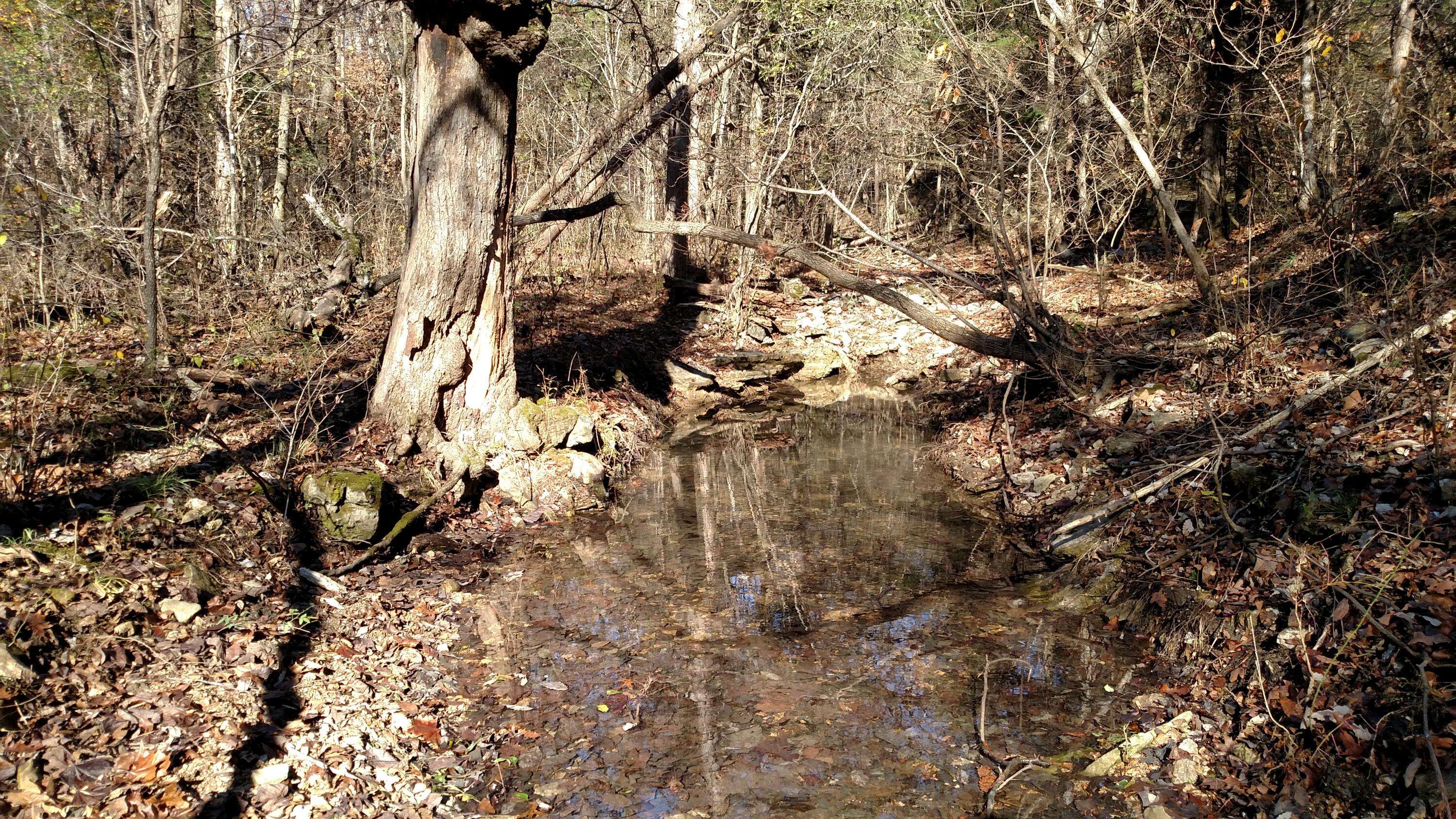 000 Buttermilk Spring RD, Galena, MO 65656