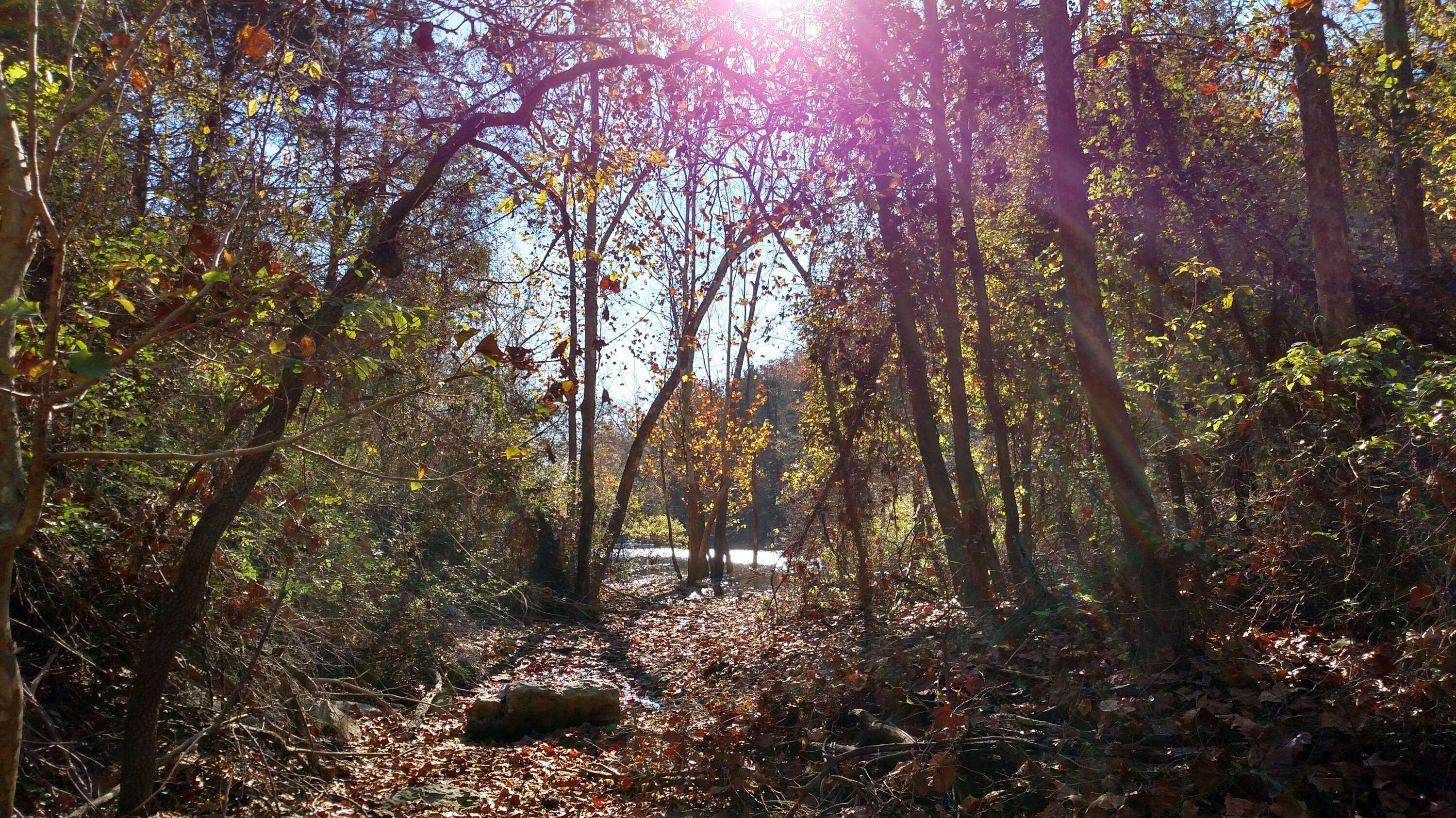 000 Buttermilk Spring RD, Galena, MO 65656