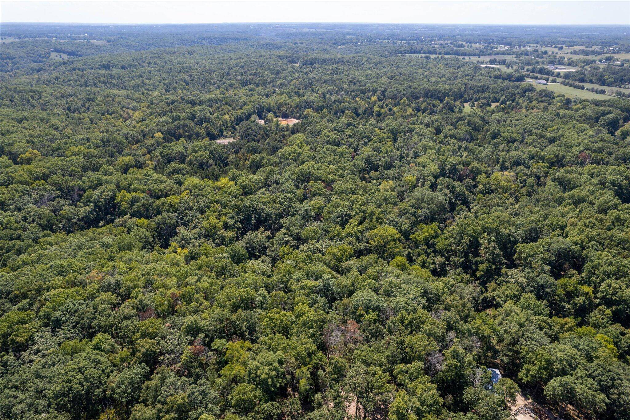 000 Watts RD, Rogersville, MO 65742
