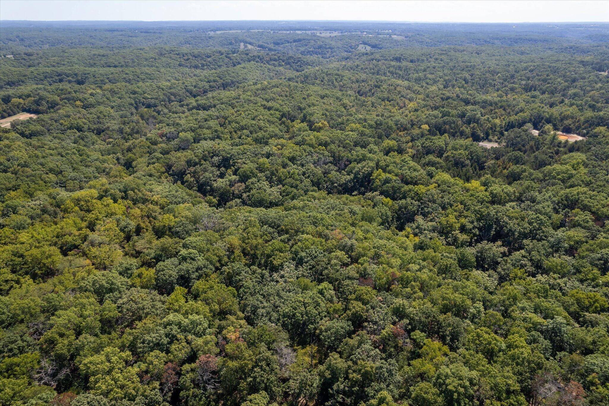 000 Watts RD, Rogersville, MO 65742