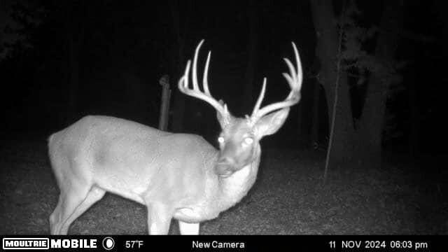 19180 E 920th RD, Humansville, MO 65674