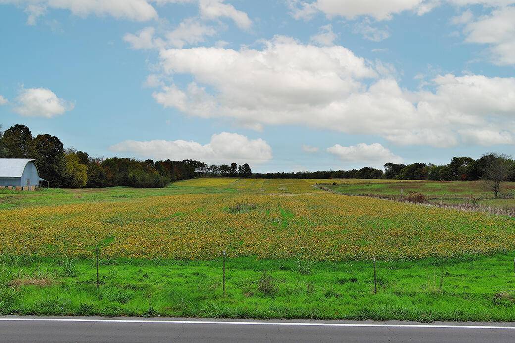 000 W Farm Road 194, Republic, MO 65738