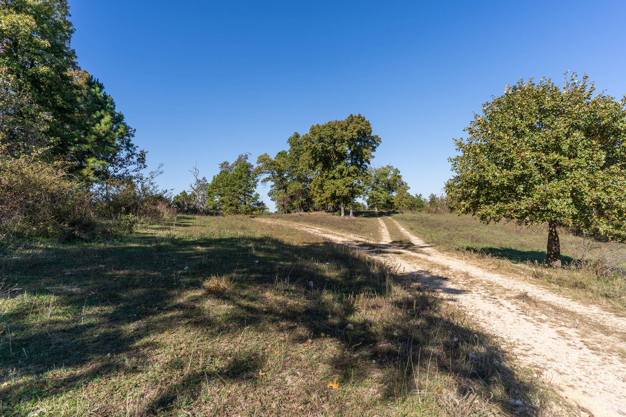 000 County Road 1130, Willow Springs, MO 65793
