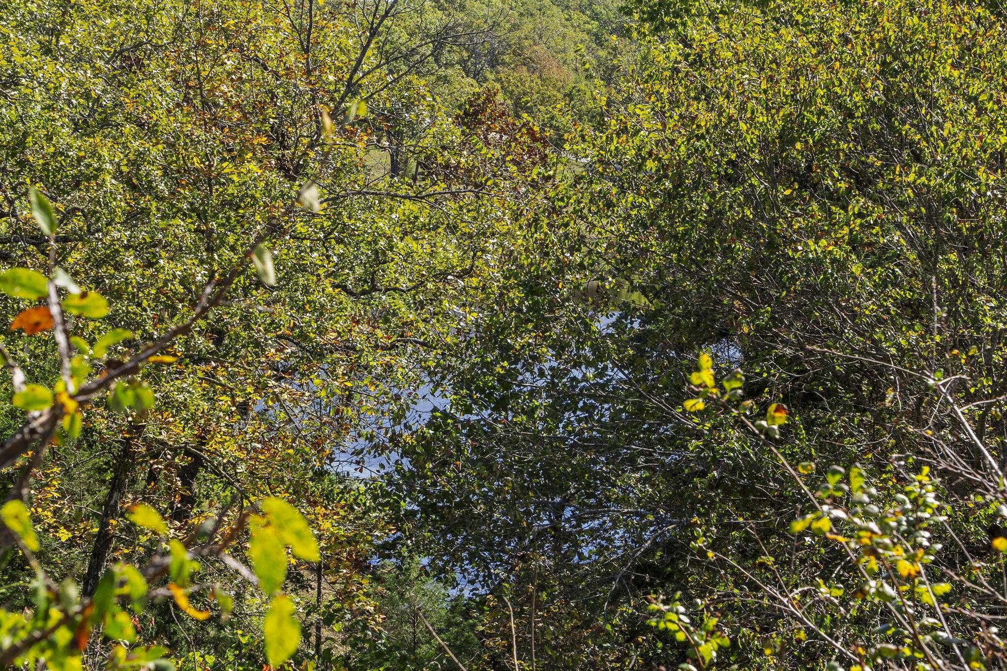 Lot 312 Weatherstone DR, Reeds Spring, MO 65737