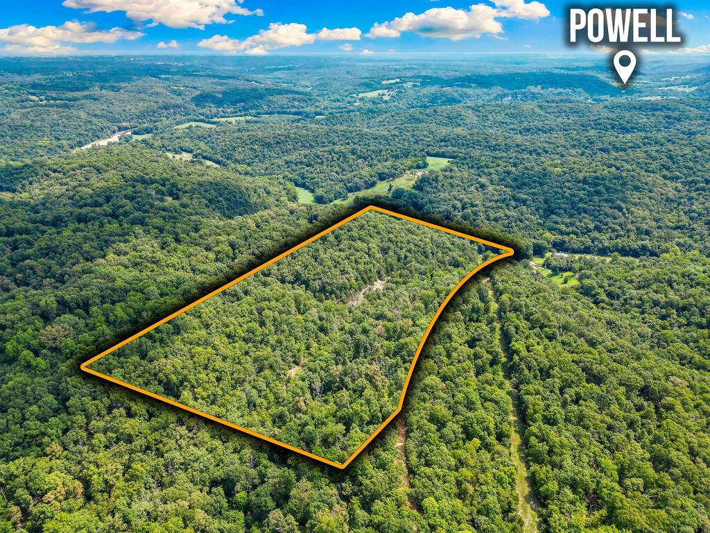 1106 Boone Hollow RD, Powell, MO 65730