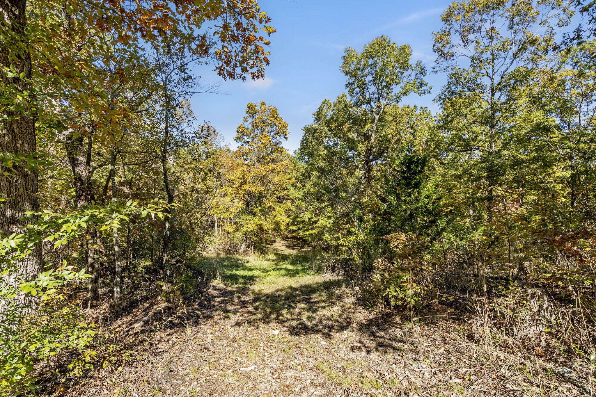 875 Windmill RD, Hollister, MO 65672