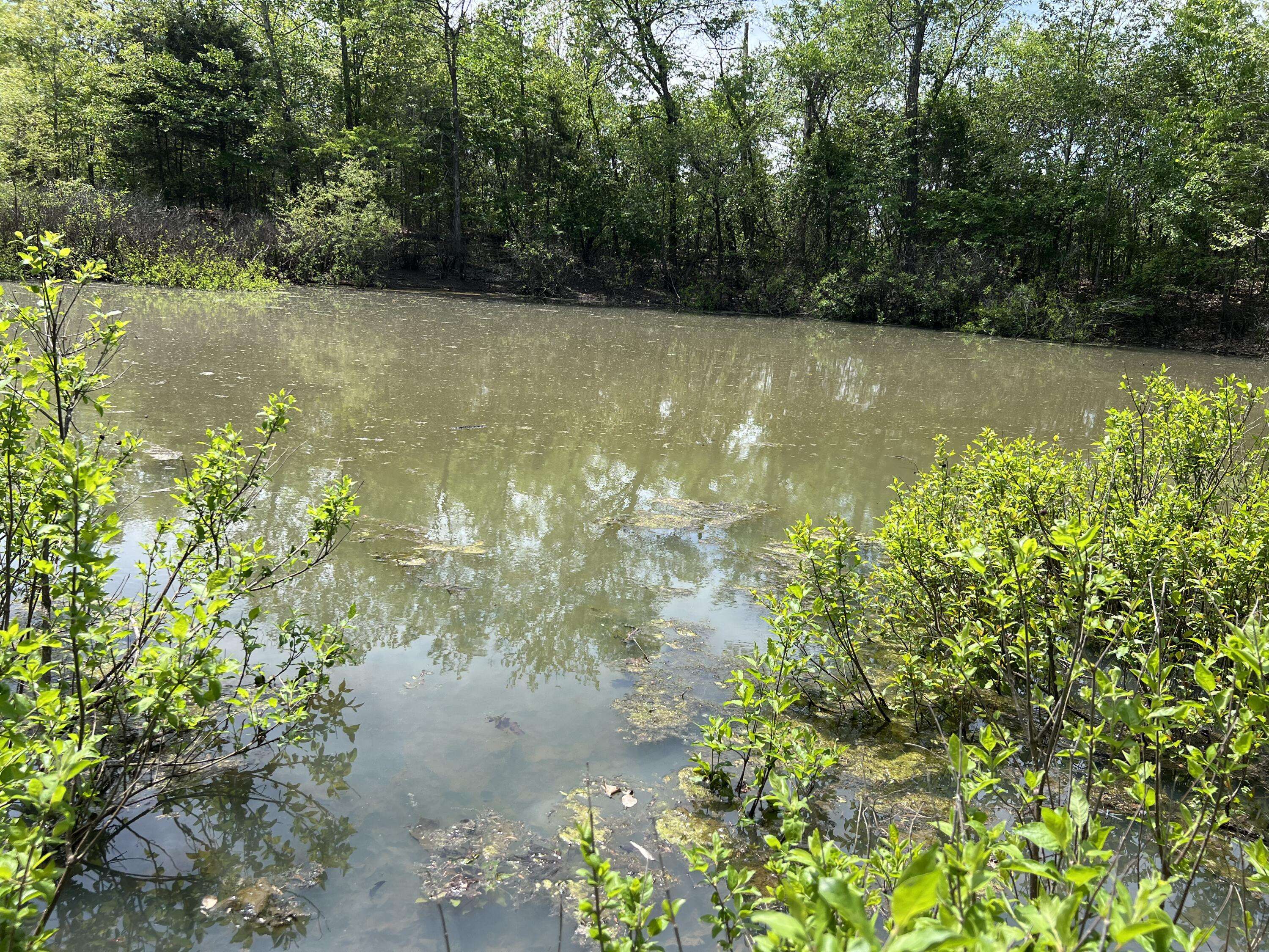 000 County Road P-309, Alton, MO 65606
