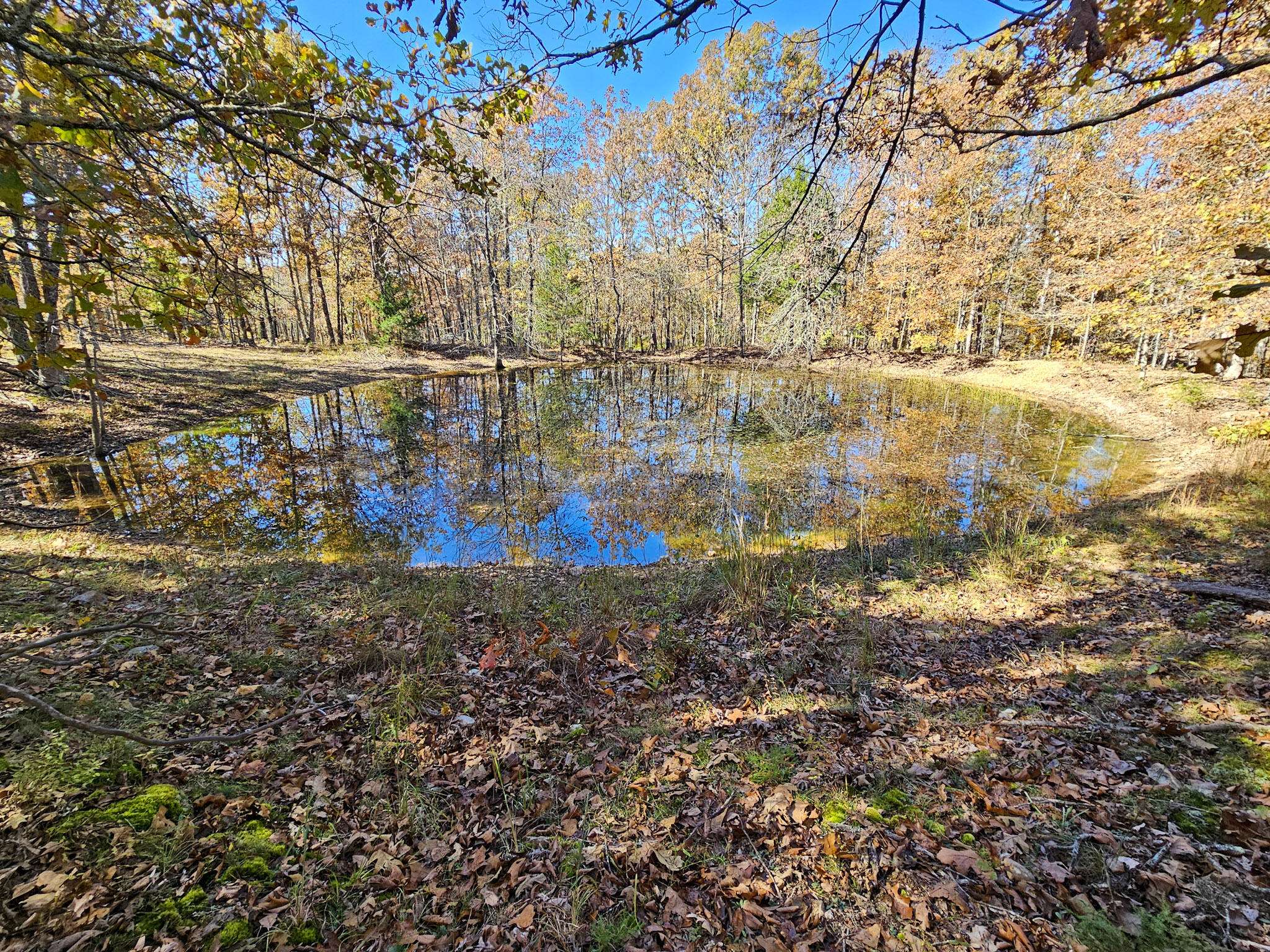 000 State Route Nn, Mountain View, MO 65548