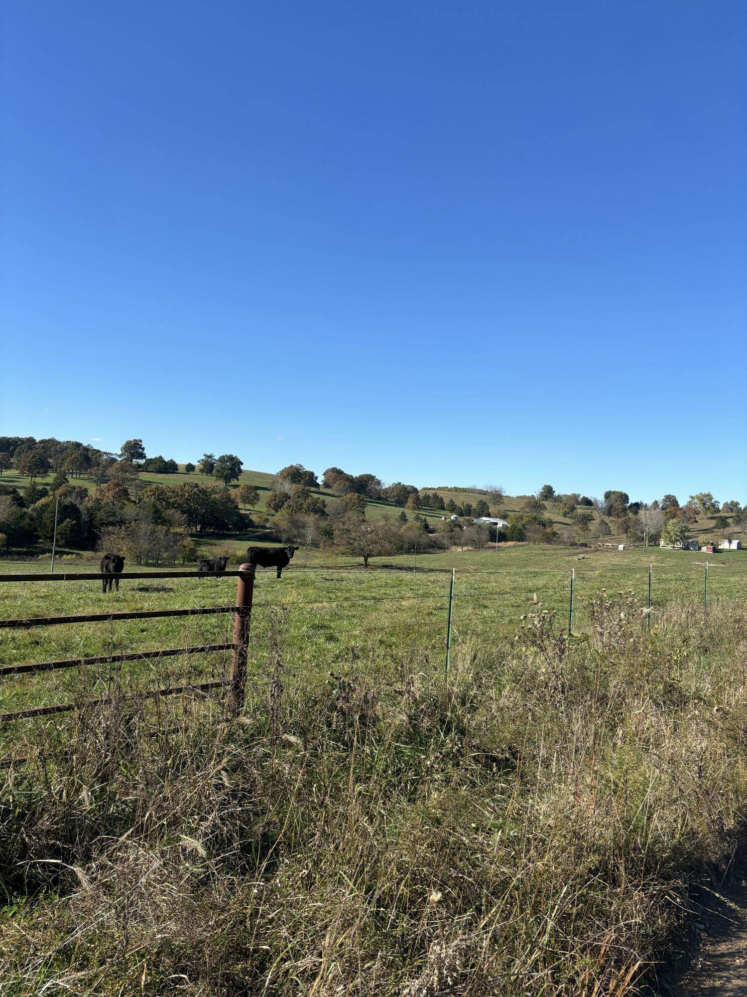 Hc 73 County Road 245, Drury, MO 65638