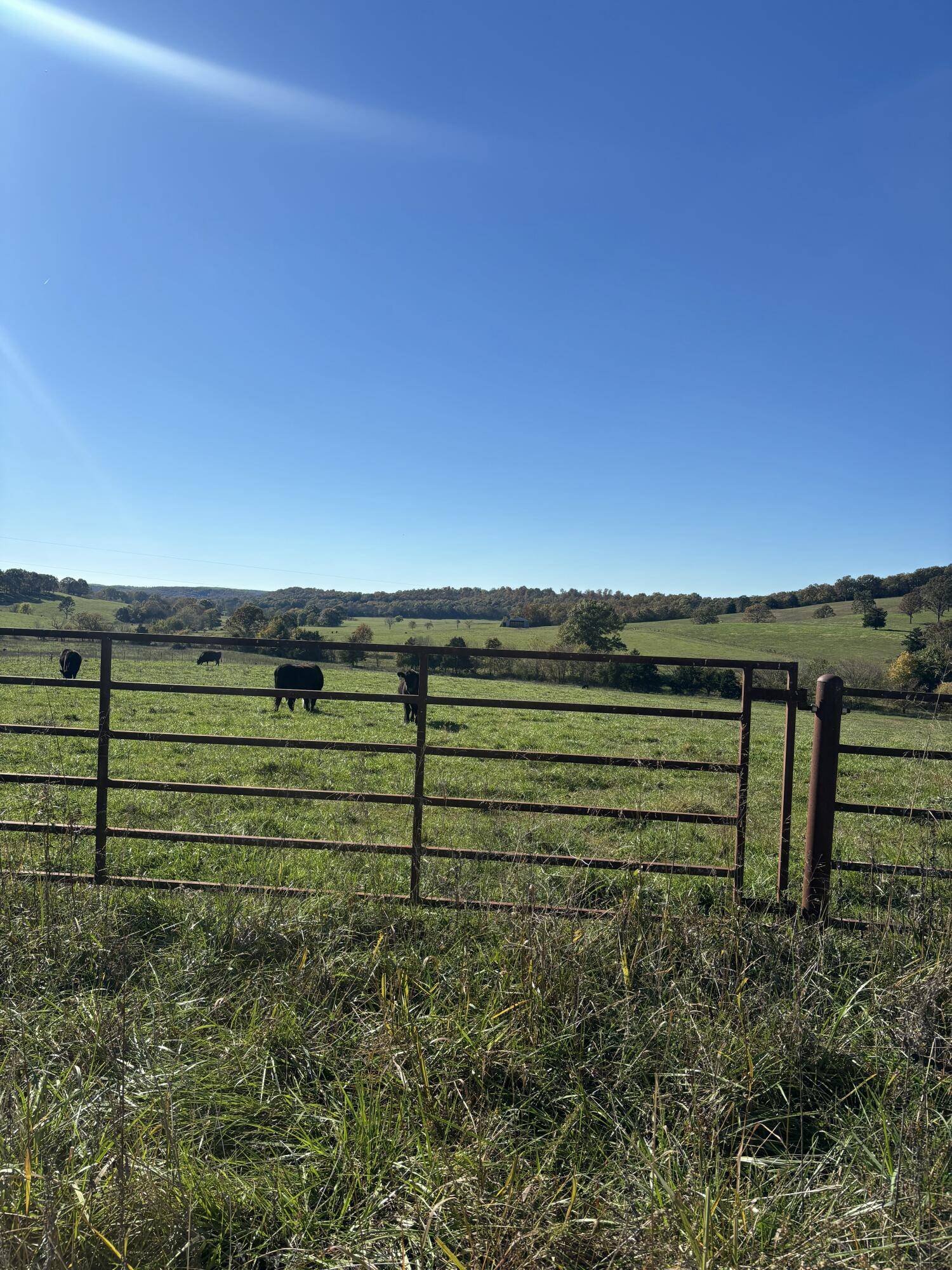 Hc 73 County Road 245, Drury, MO 65638