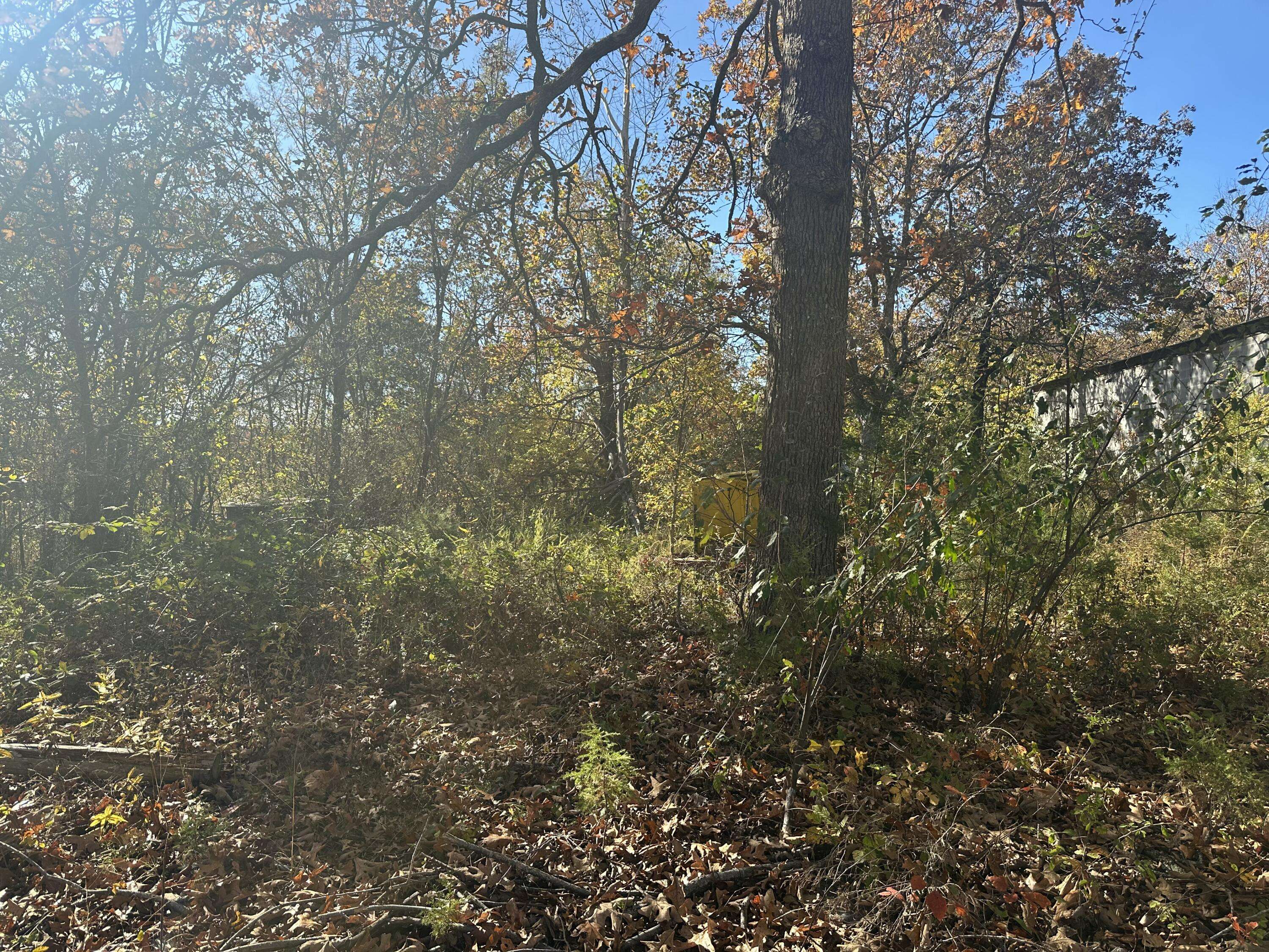 6659 State Highway 176, Walnut Shade, MO 65771