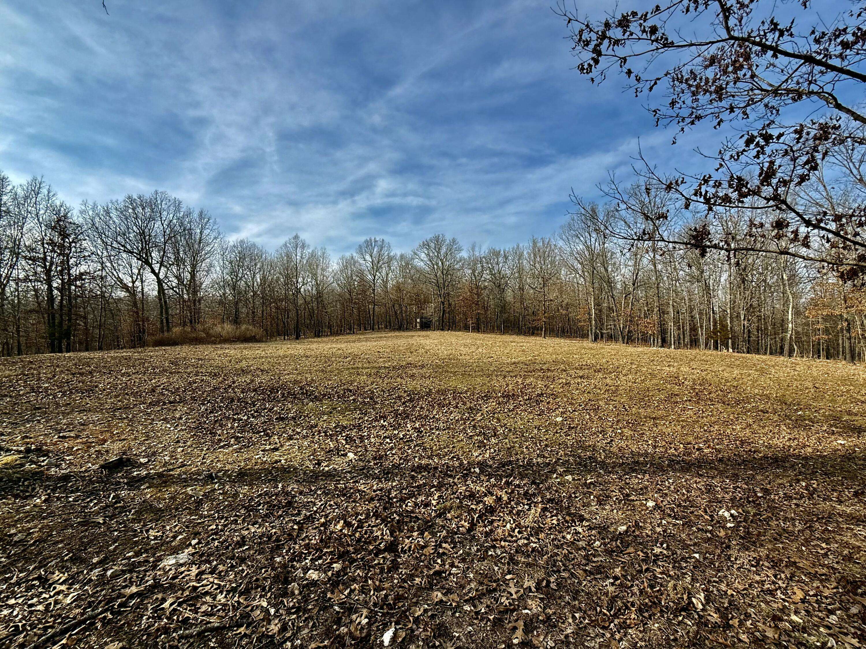 2112 County Road 348, Thayer, MO 65791