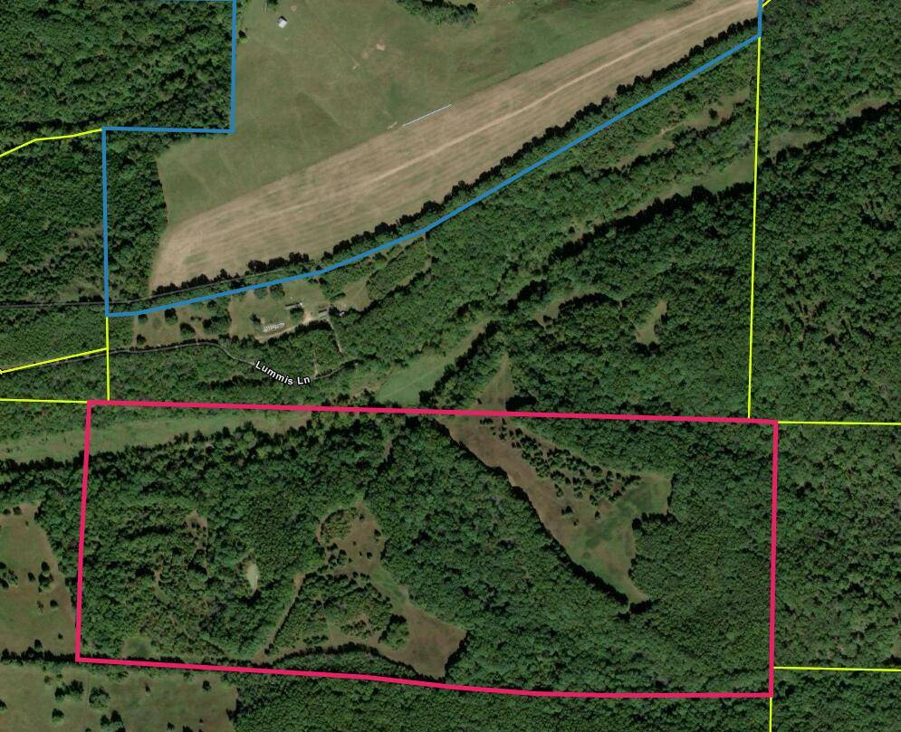 000 Lummis LN, Wasola, MO 65773