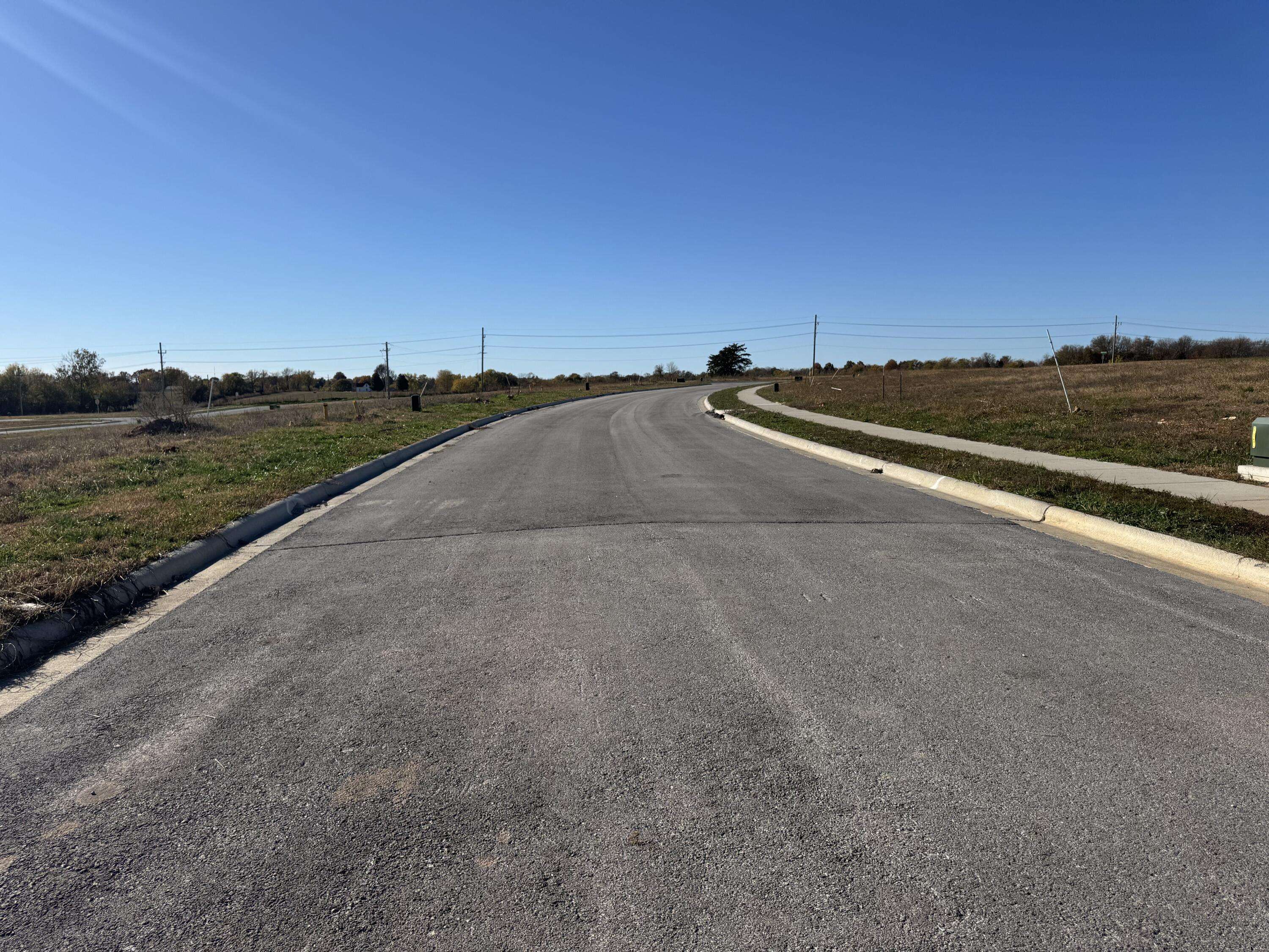 1187 E Charlton ST, Republic, MO 65738