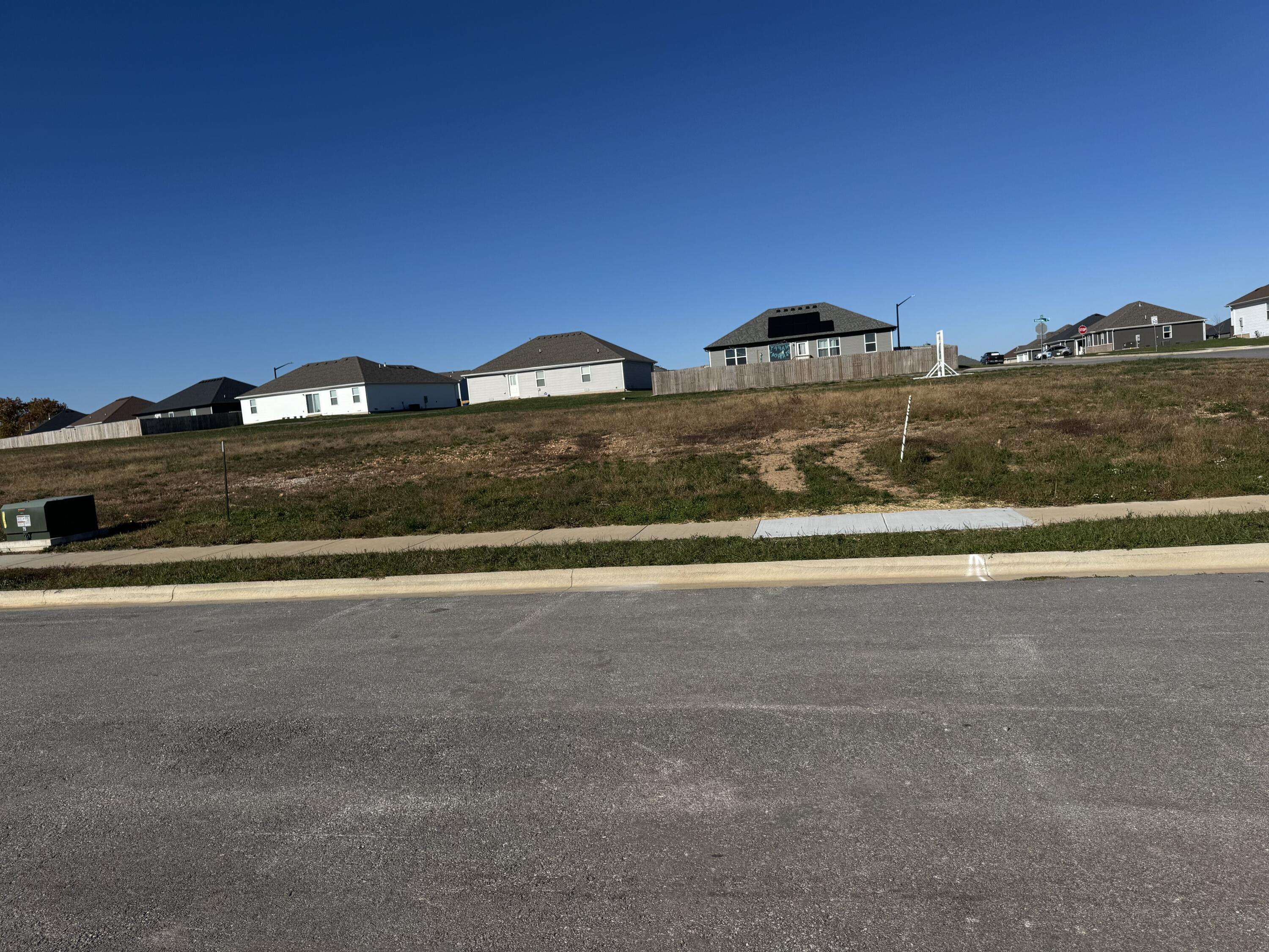 1310 E Charlton ST, Republic, MO 65738