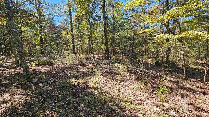 000 Rolling Hills Block 11 Lot 22, Theodosia, MO 65761