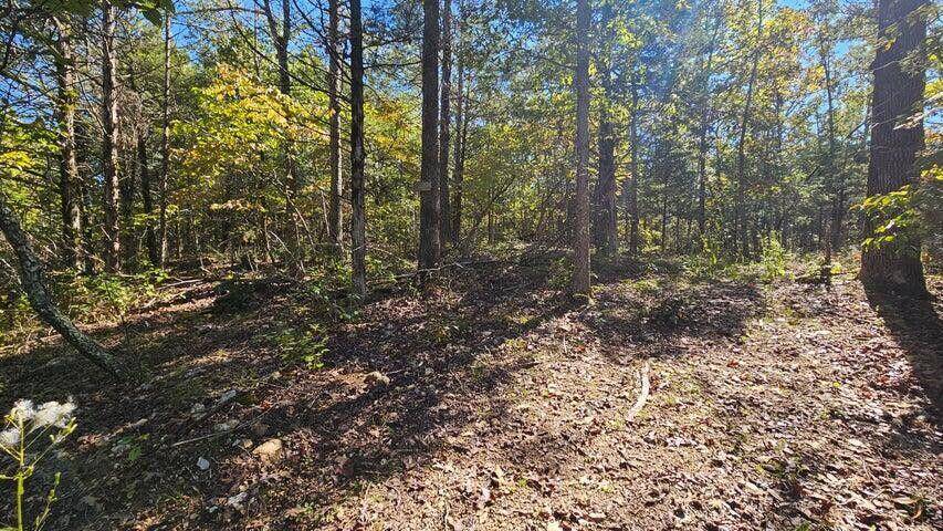 000 Rolling Hills Block 11 Lot 22, Theodosia, MO 65761