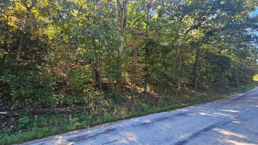 000 Eastwood Hills Block 6 Lot 2, Theodosia, MO 65761
