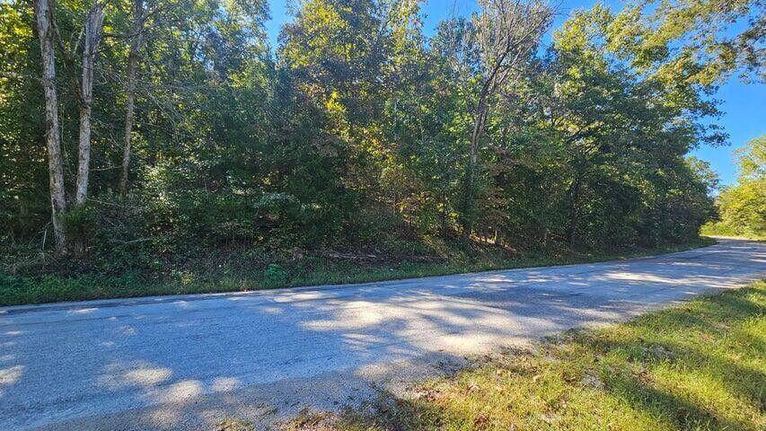 000 Eastwood Hills Block 6 Lot 2, Theodosia, MO 65761