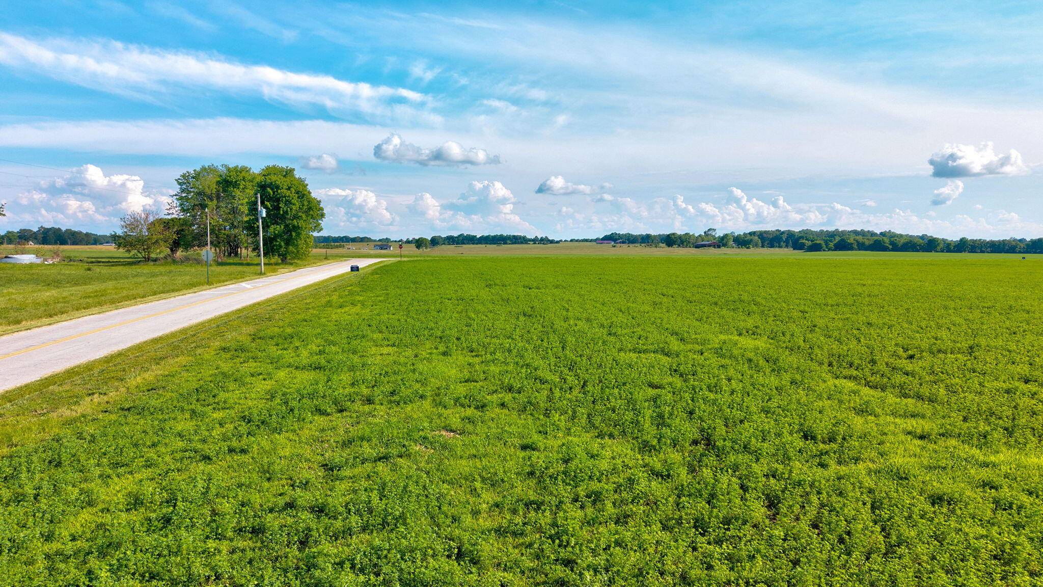 0000 E Farm Rd 166, Rogersville, MO 65742