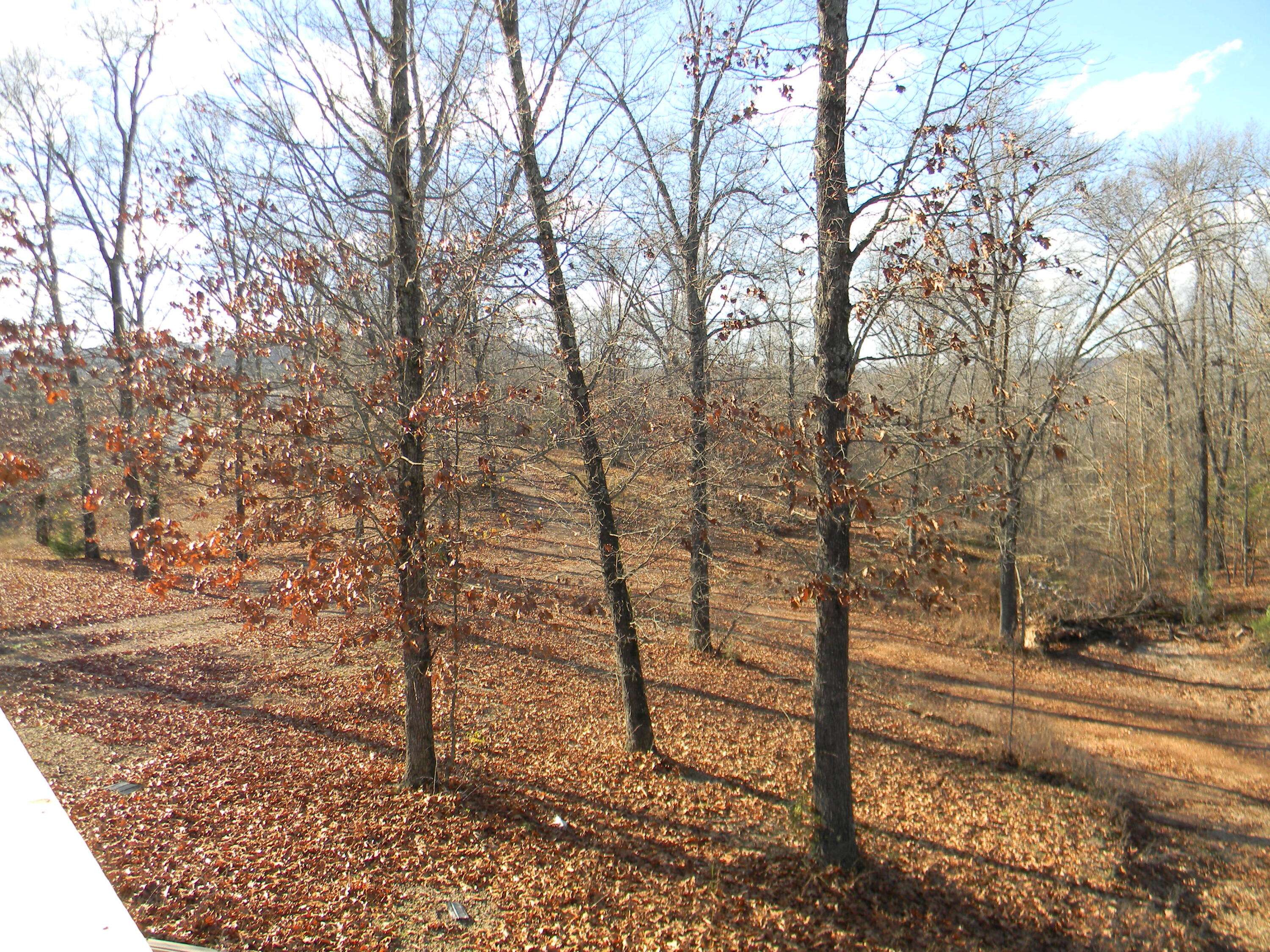 26713 Farm Road 1186, Eagle Rock, MO 65641
