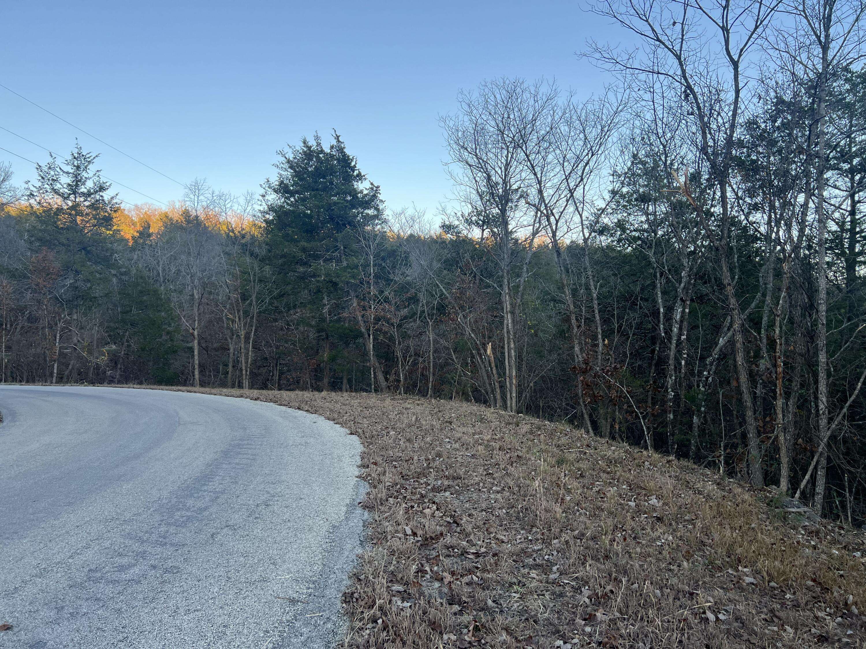 790 Pomme De Terre, Branson, MO 65616