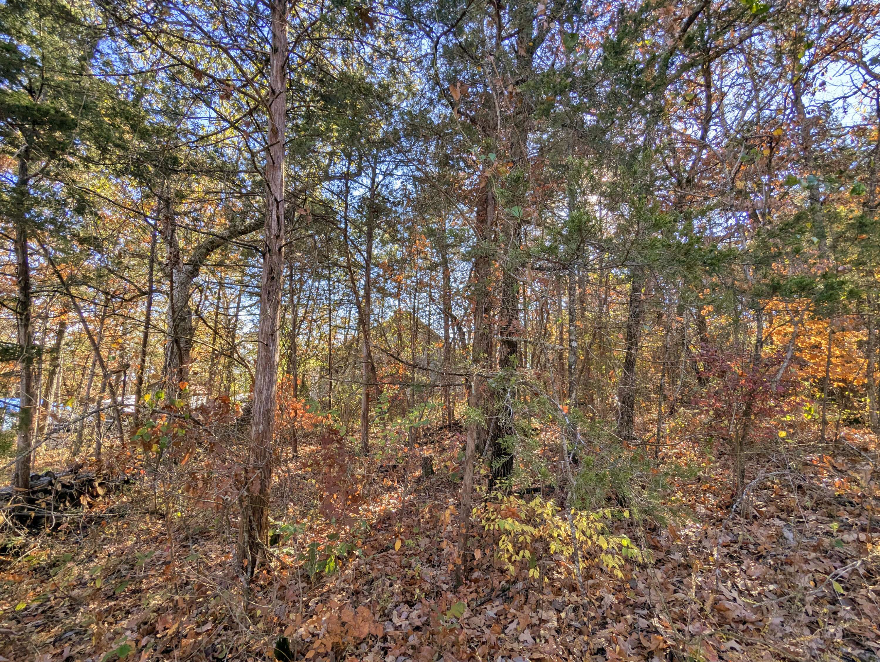 Lot 69&70 Bluebird RD, Merriam Woods, MO 65740