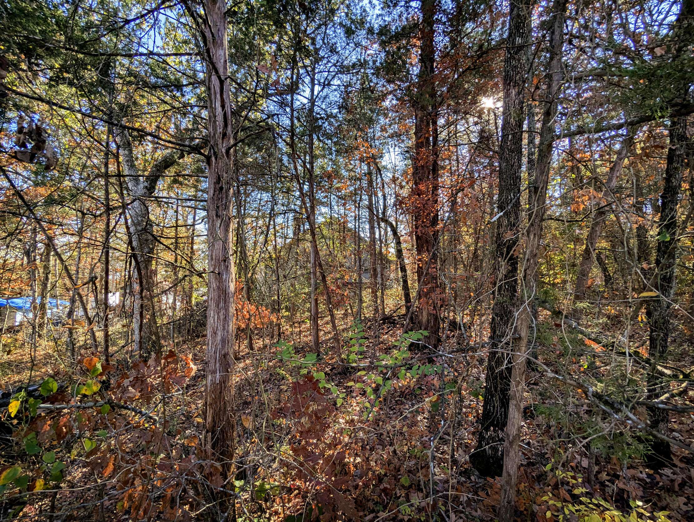Lot 69&70 Bluebird RD, Merriam Woods, MO 65740