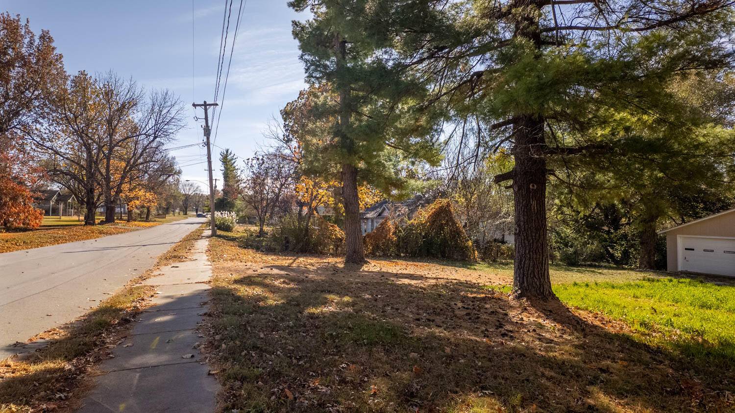 2453 N Albertha Avenue, Springfield, MO 65803