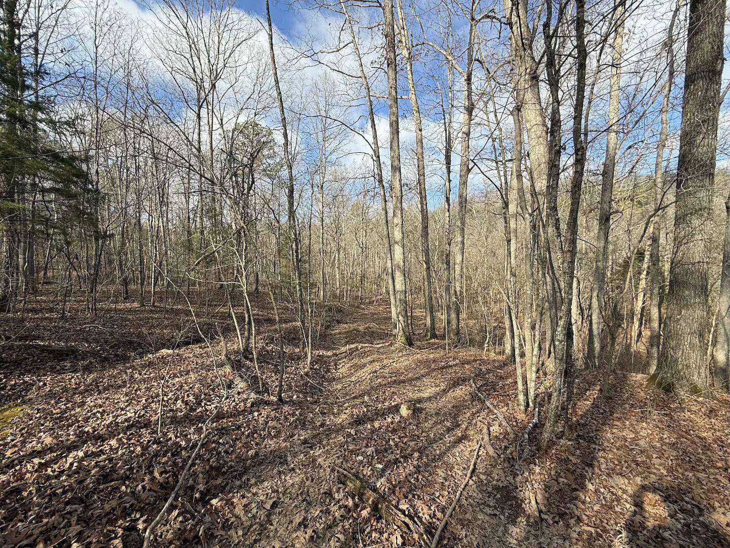 000 Ottofy Way, Eminence, MO 65466