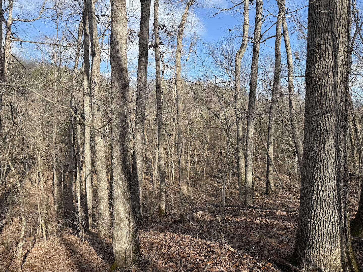 000 Ottofy Way, Eminence, MO 65466