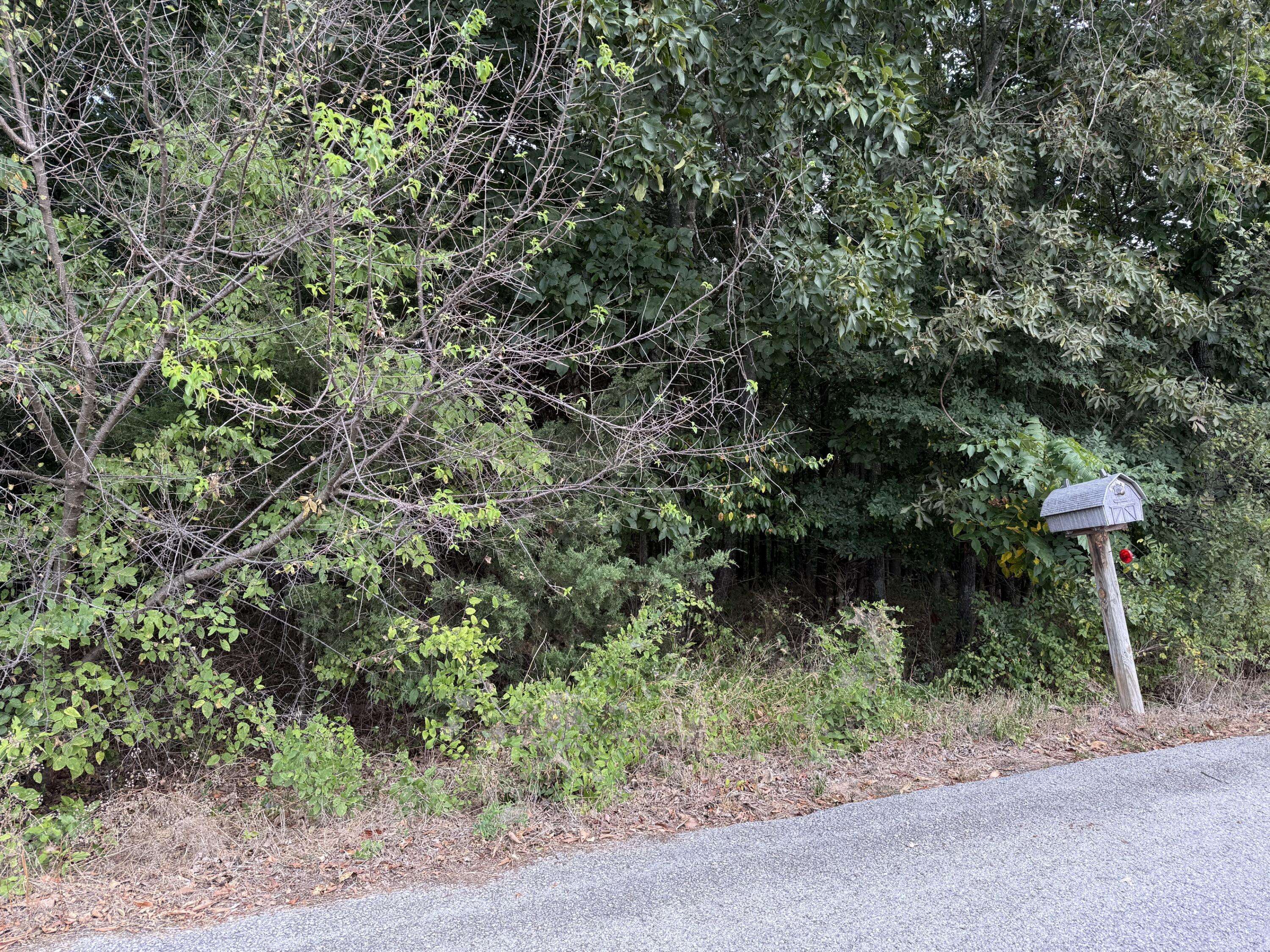 Lot 11 Hillcrest DR, Kimberling City, MO 65686