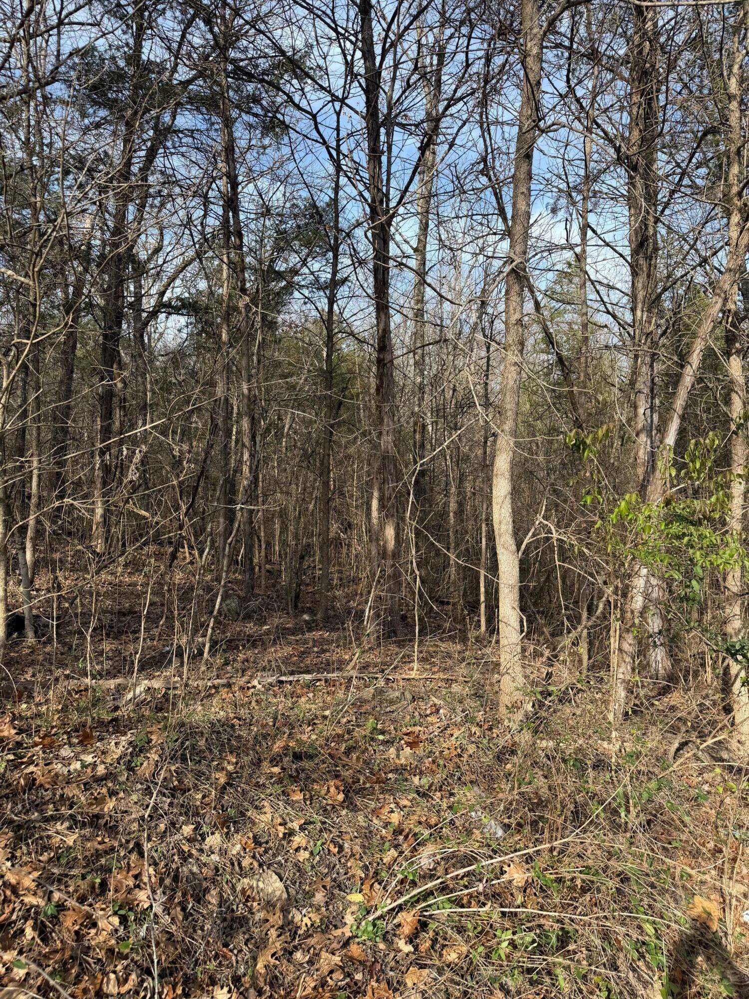 000 Bluff RD, Merriam Woods, MO 65740