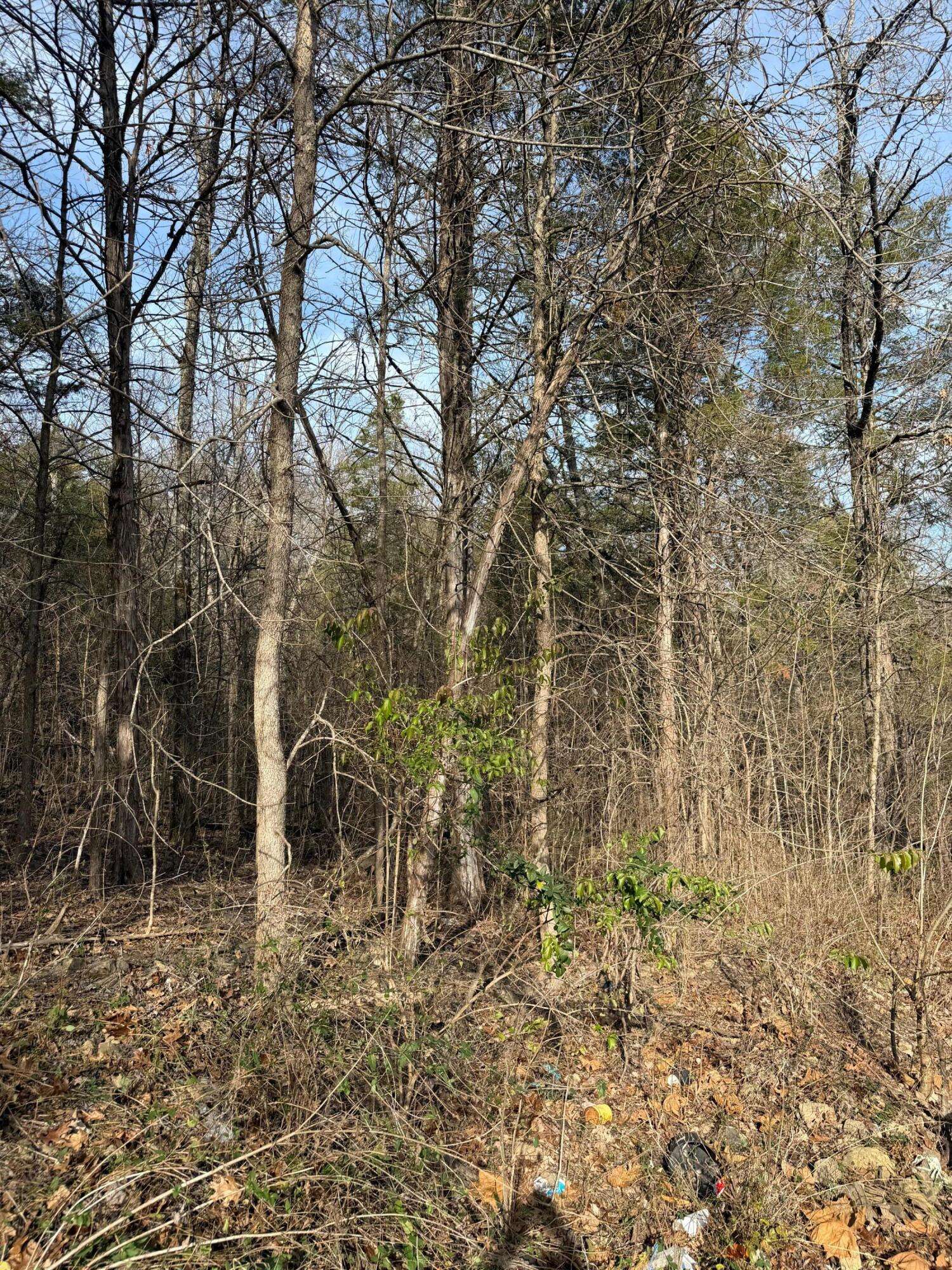 000 Bluff RD, Merriam Woods, MO 65740