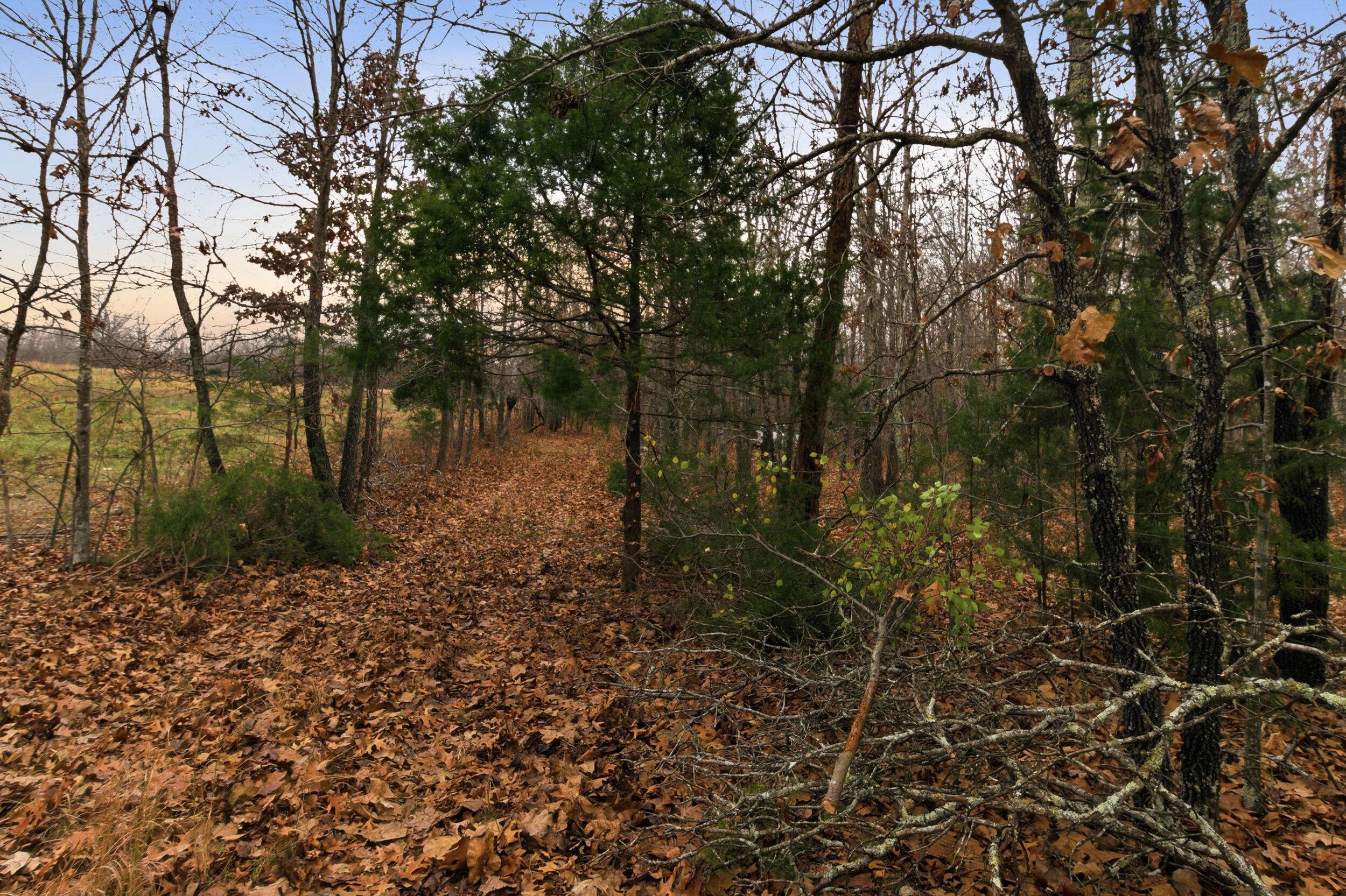 Tbd Old Highway 60, Mountain View, MO 65548