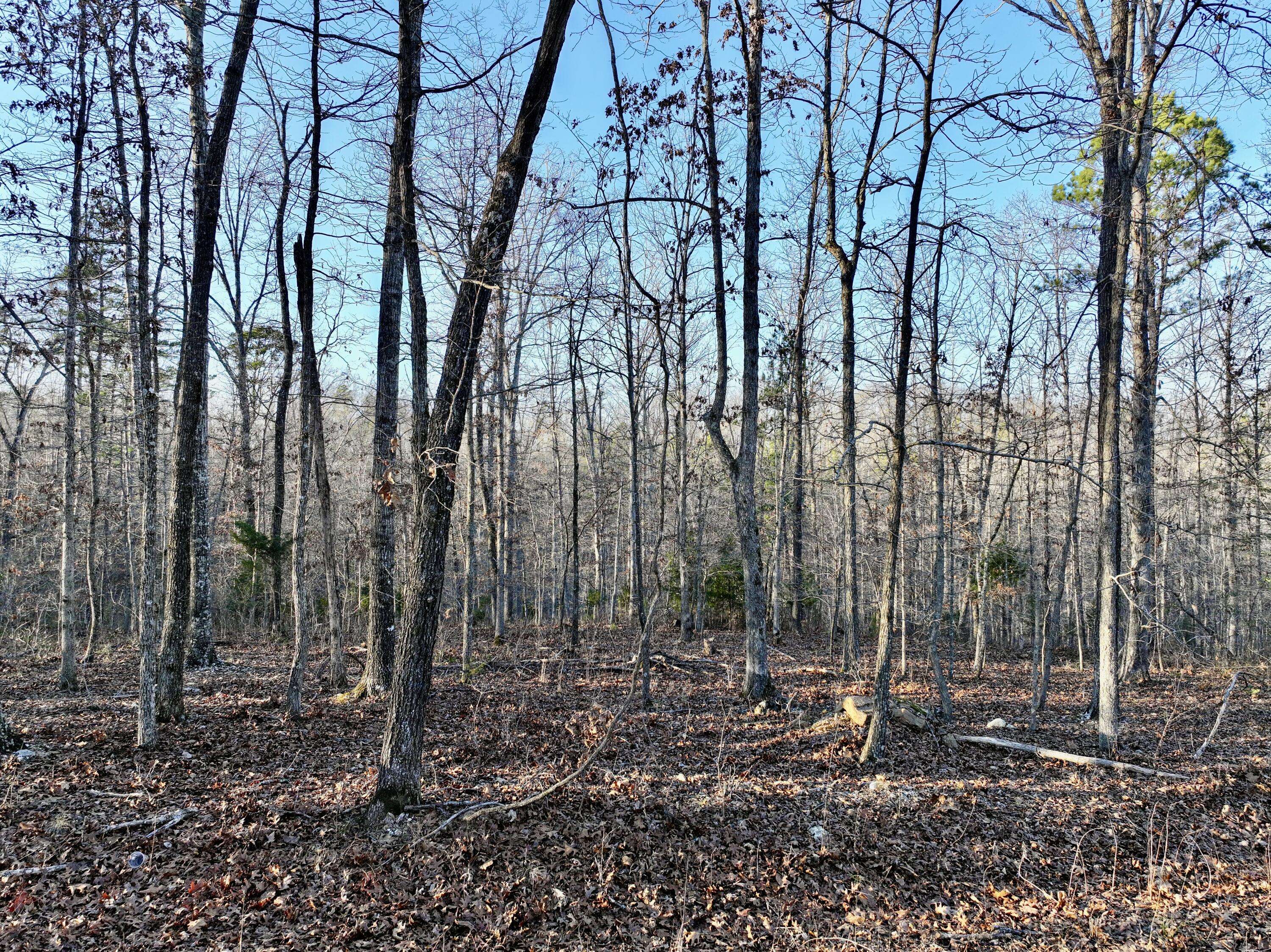 000 Bass Rock Drive Lot 2, Van Buren, MO 63965