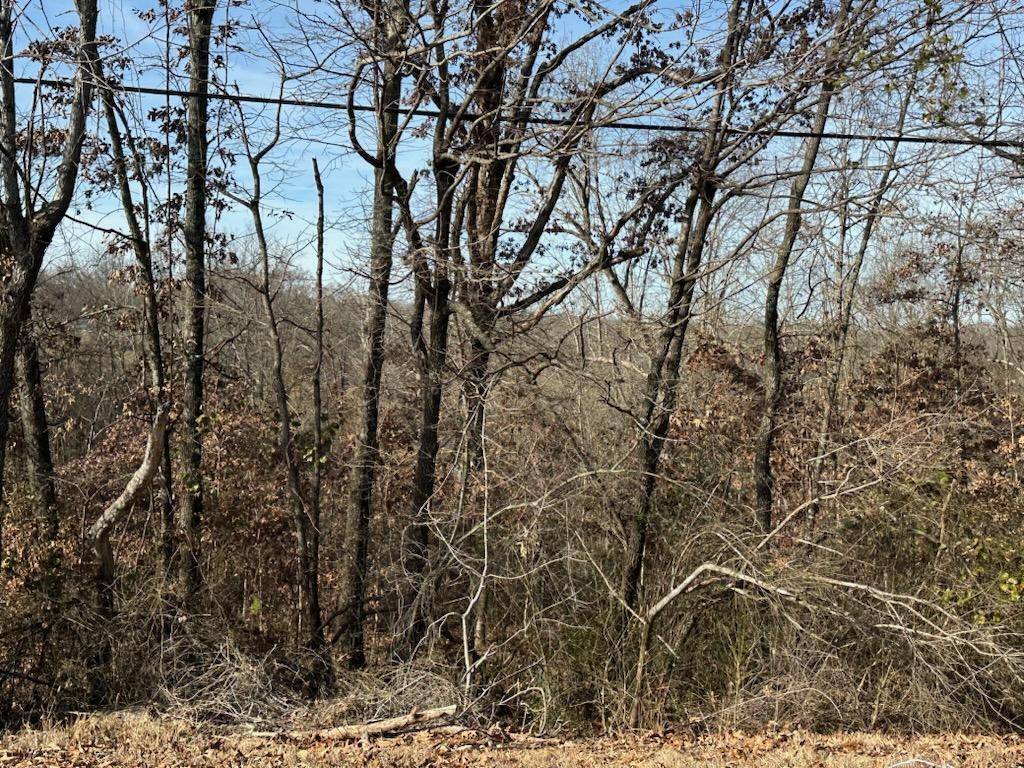 000 Highway 289 ST, Mammoth Spring, AR 72554