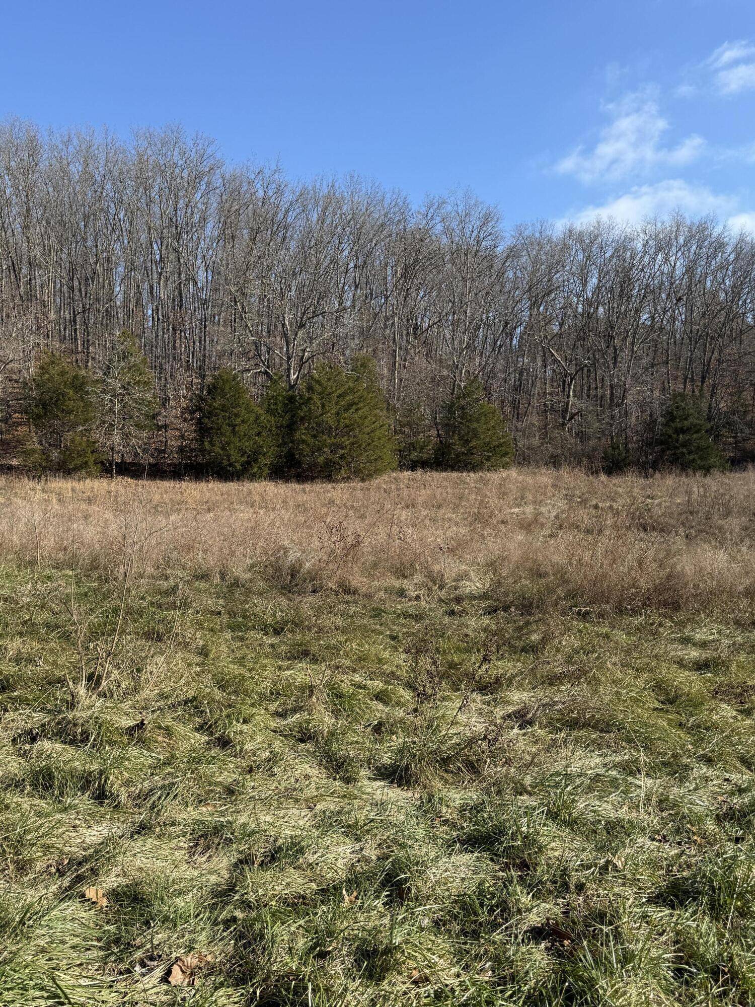 000 Varvel Rd, Willow Springs, MO 65793