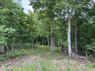 2371 County Road 359, Thayer, MO 65791