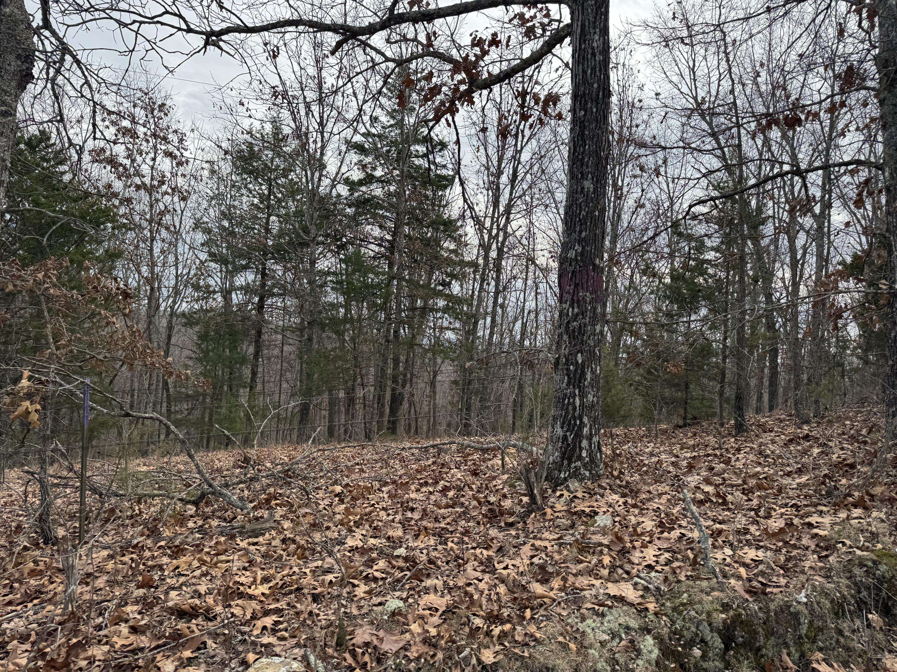 13347 County Road E 76-126, Ava, MO 65608