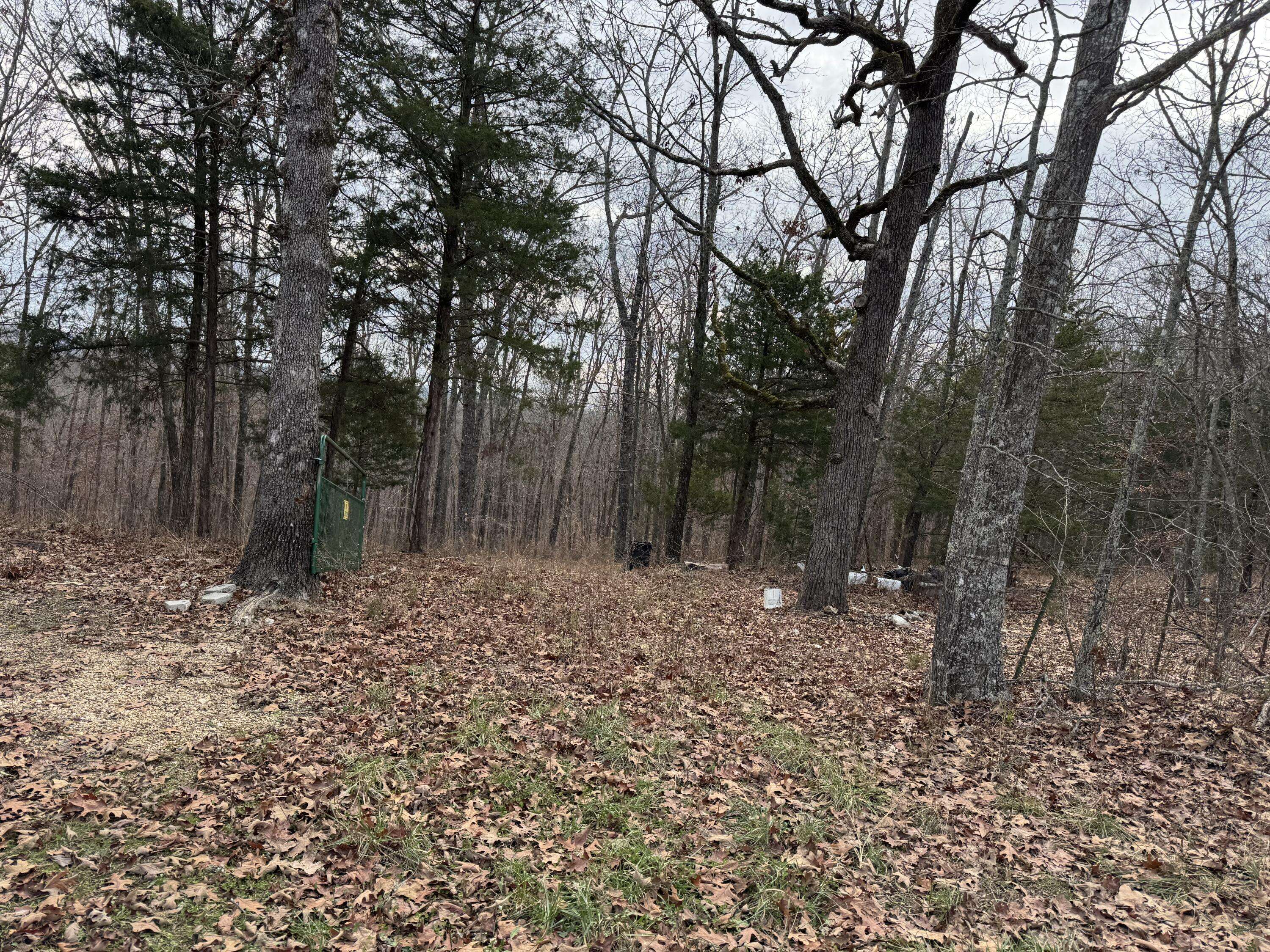 13347 County Road E 76-126, Ava, MO 65608