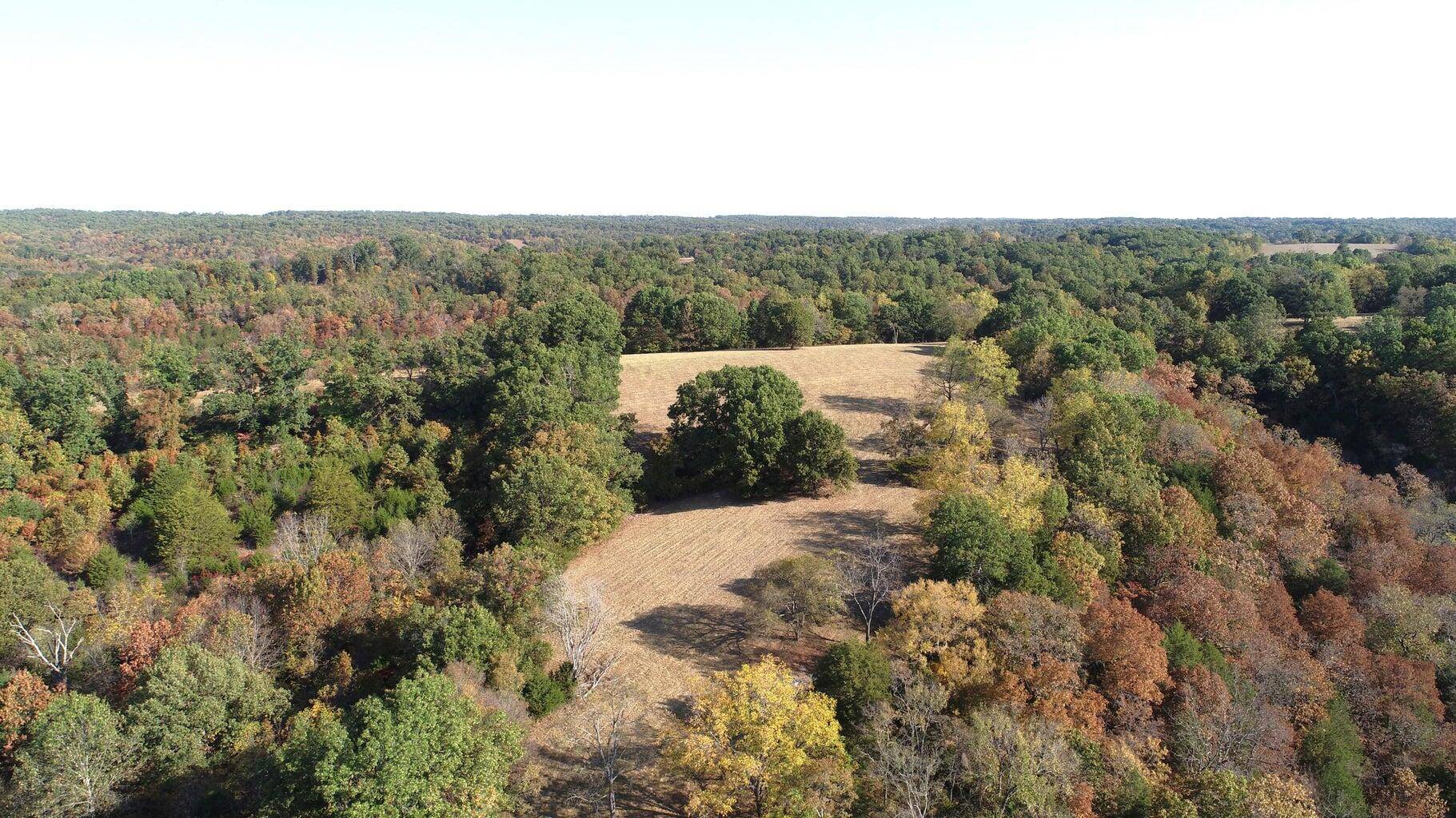 615 Thomas Hollow RD, Rocky Comfort, MO 64861
