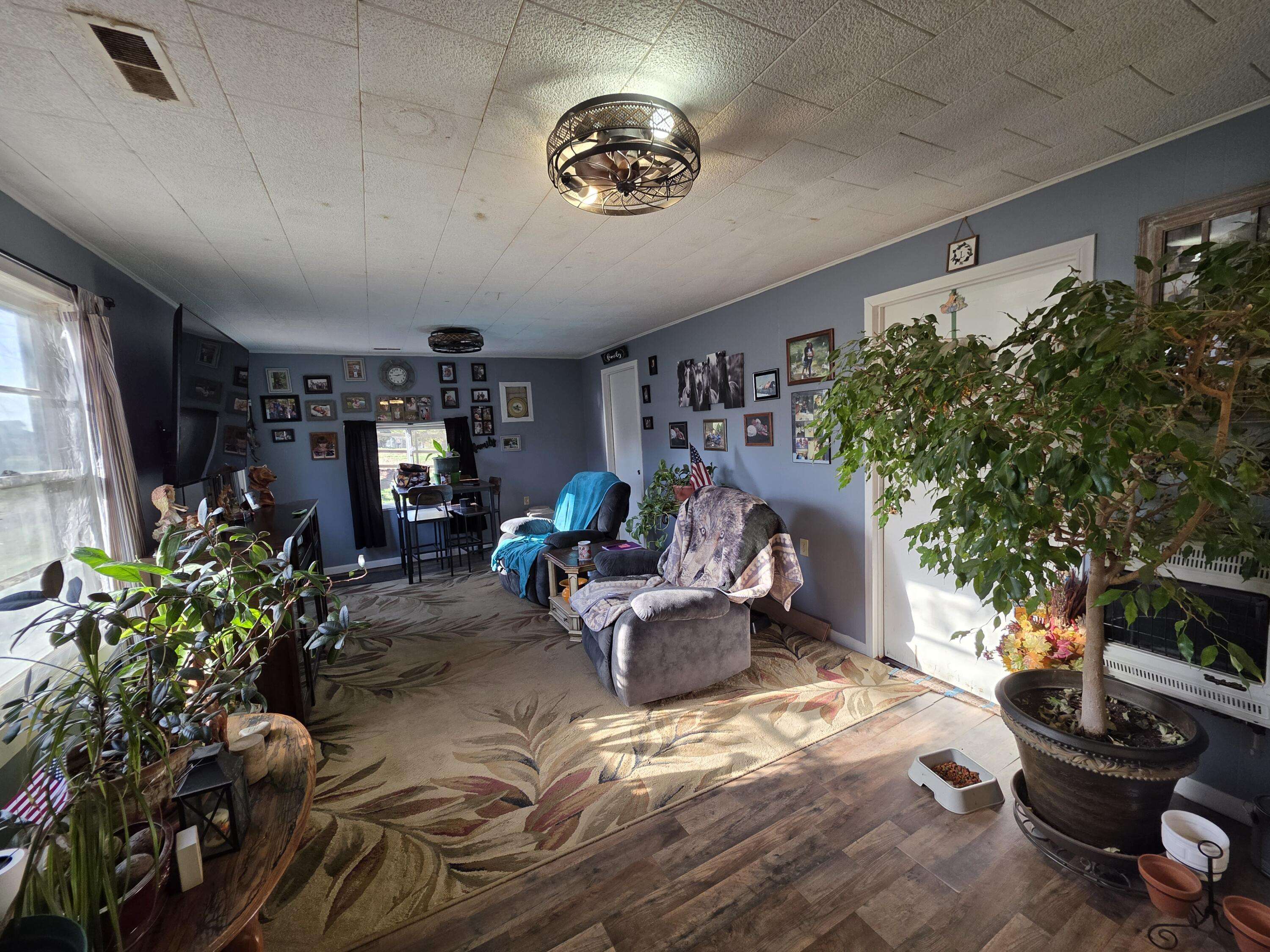 479 Oak Hill Drive RD, Houston, MO 65483