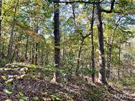 9641 Crane DR, Bucyrus, MO 65444